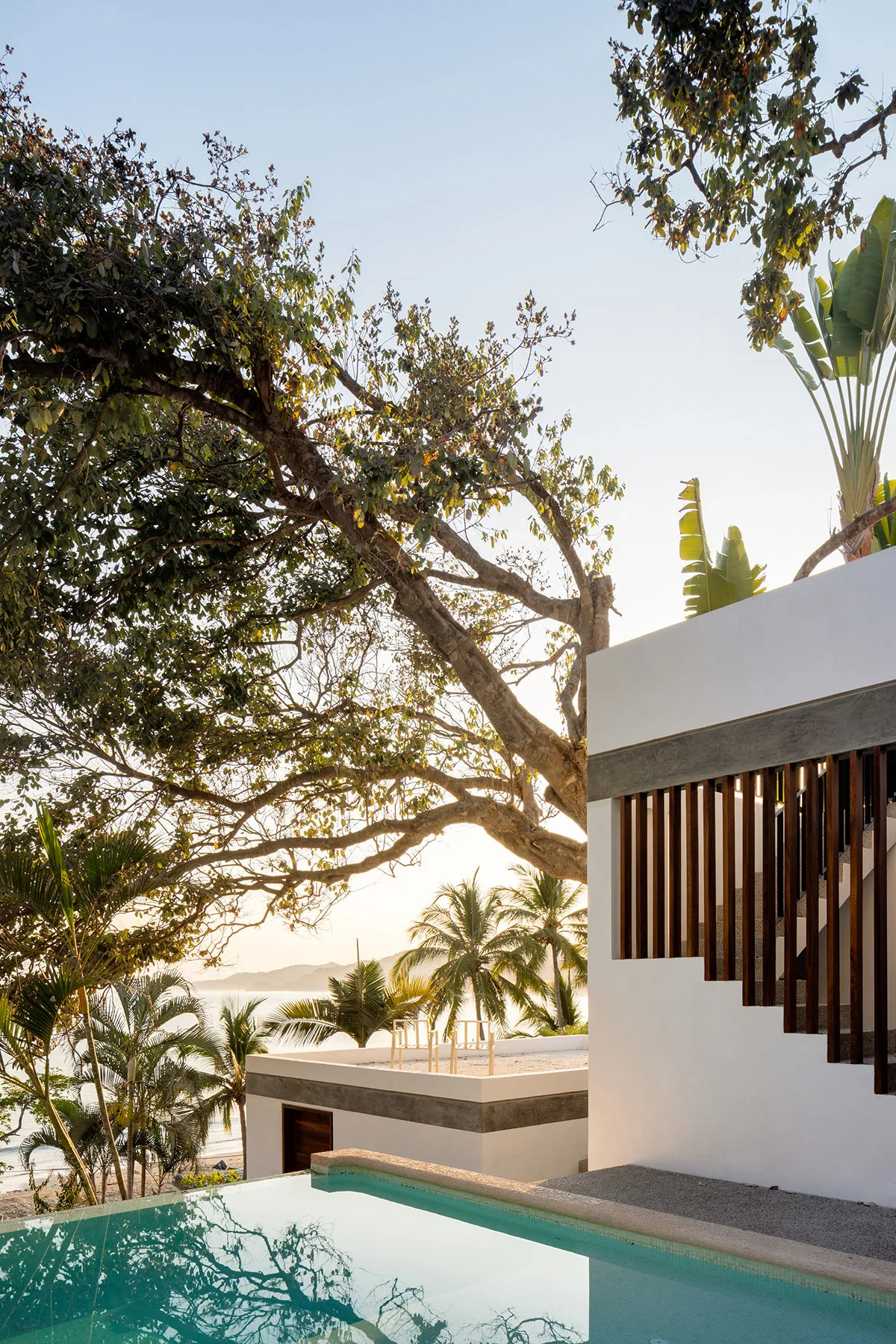 A tropical modern villa features a white stucco exterior with a dark wood slat screen next to a swimming pool reflecting the trees above.