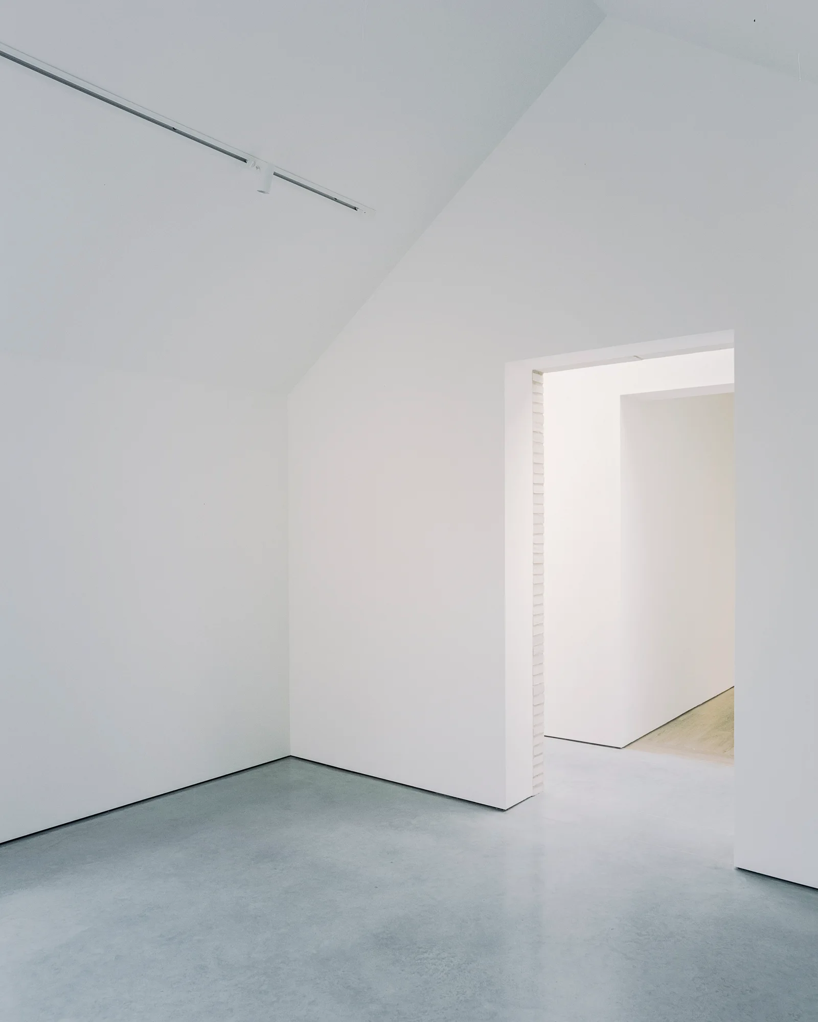 A minimalist room features smooth white walls, a vaulted ceiling with track lighting, and a polished grey concrete floor.