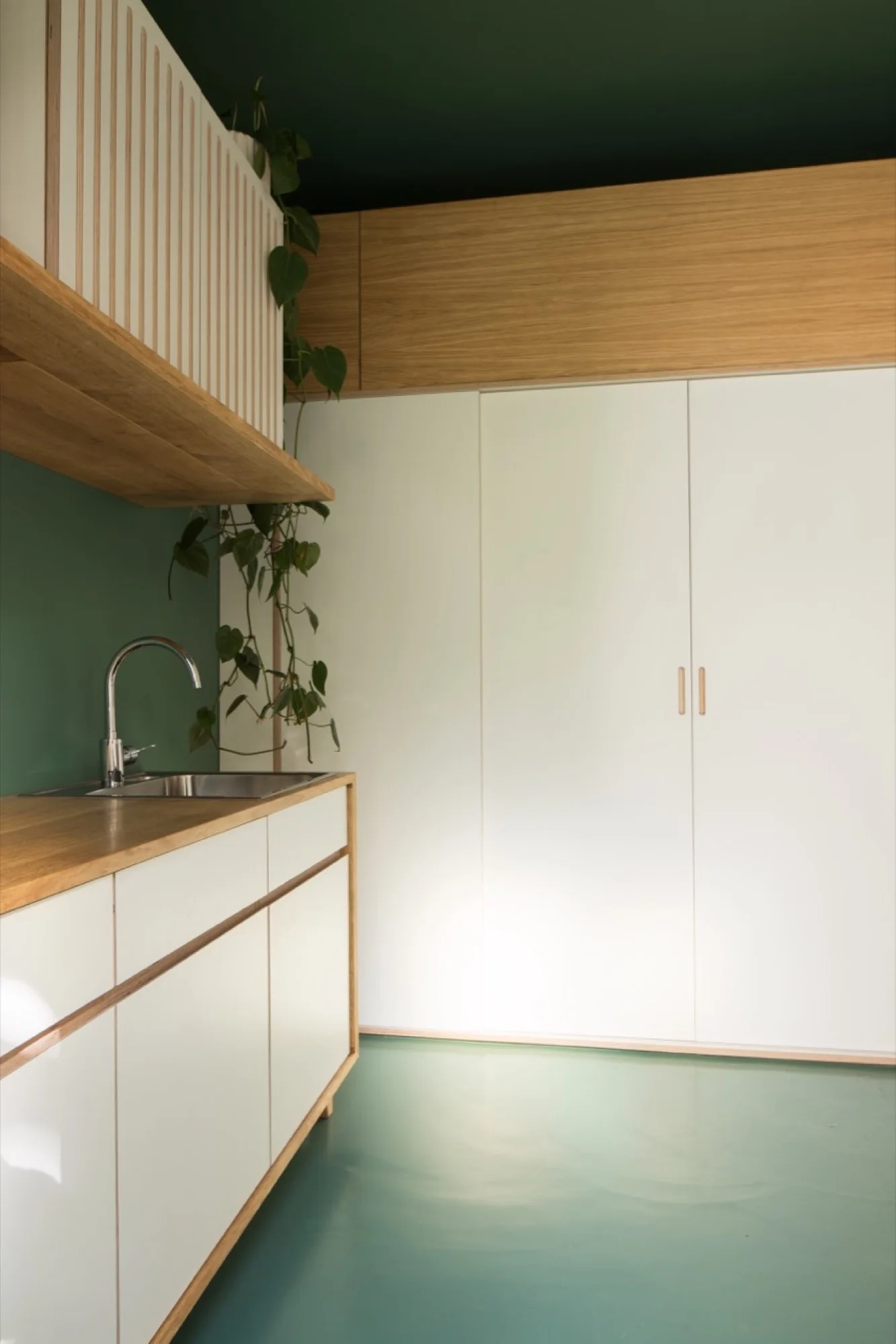 A minimalist kitchen features white cabinets with wood trim, a stainless steel sink, a dark green wall, and matching green ceiling and floor.
