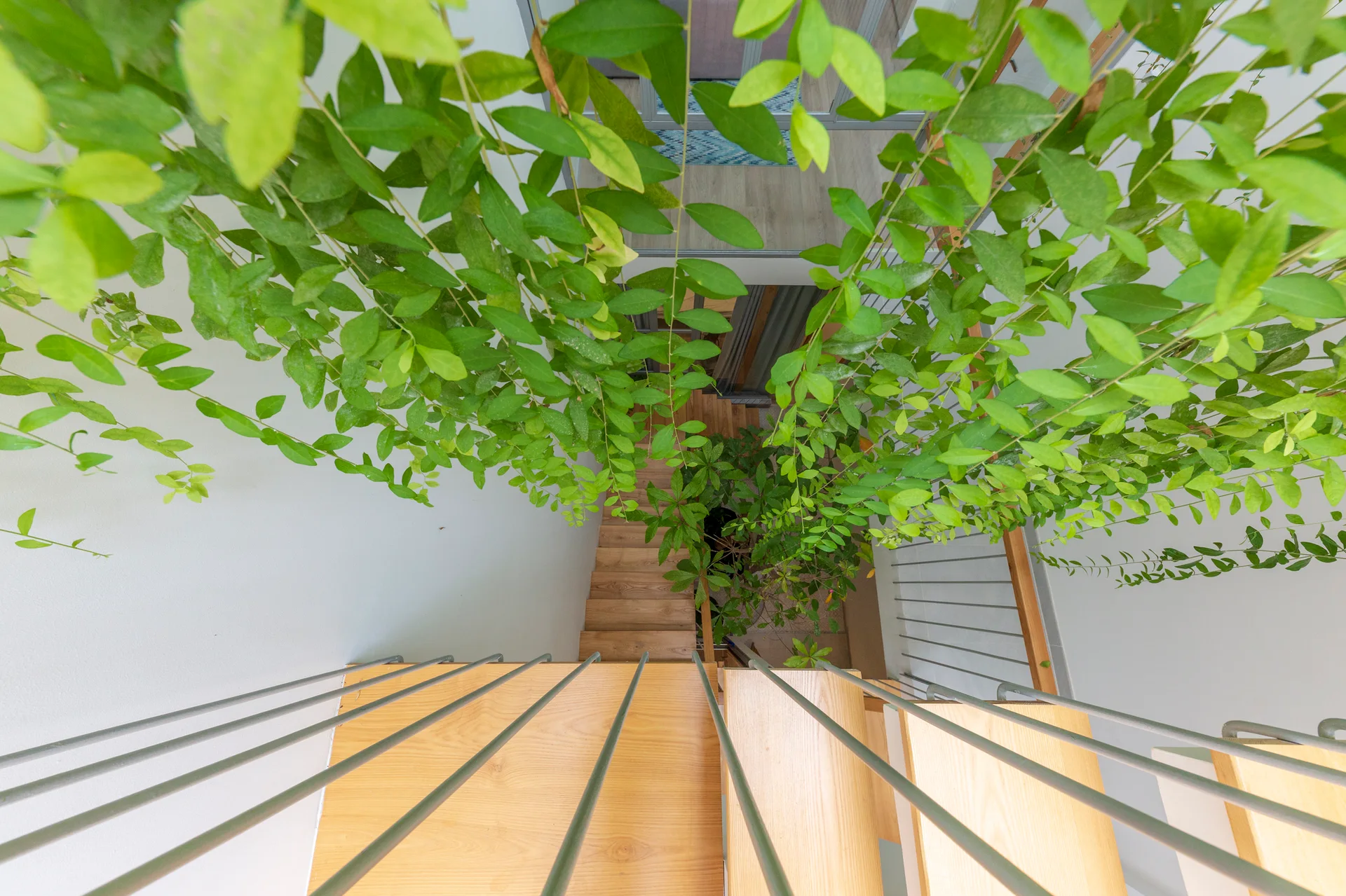 A top-down view of a modern staircase featuring light wood treads, vertical metal railings, and cascading green vines.
