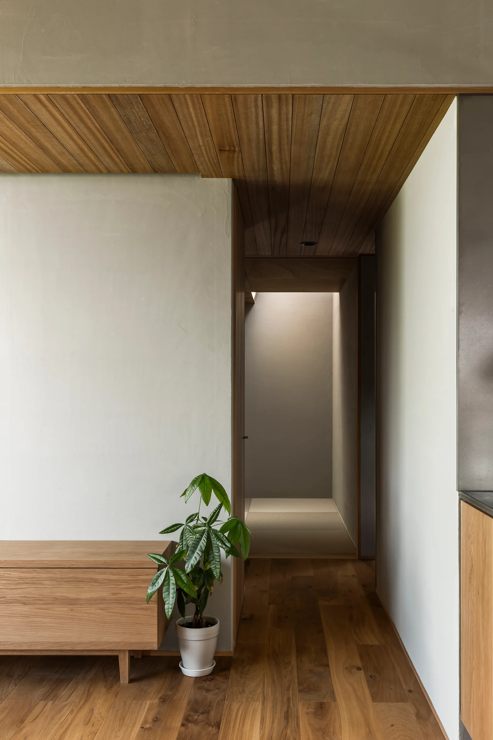 A minimalist hallway features natural wood flooring, a matching wood slat ceiling, a low cabinet with a potted plant, and a plaster wall.