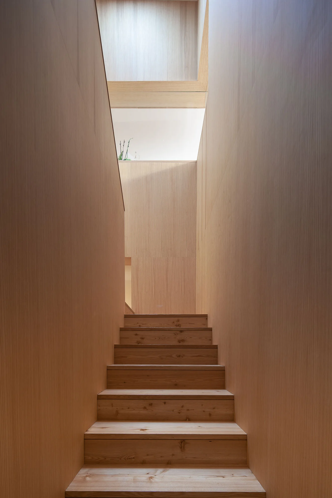 A minimalist wooden staircase ascends between matching wood paneled walls toward a bright skylight.