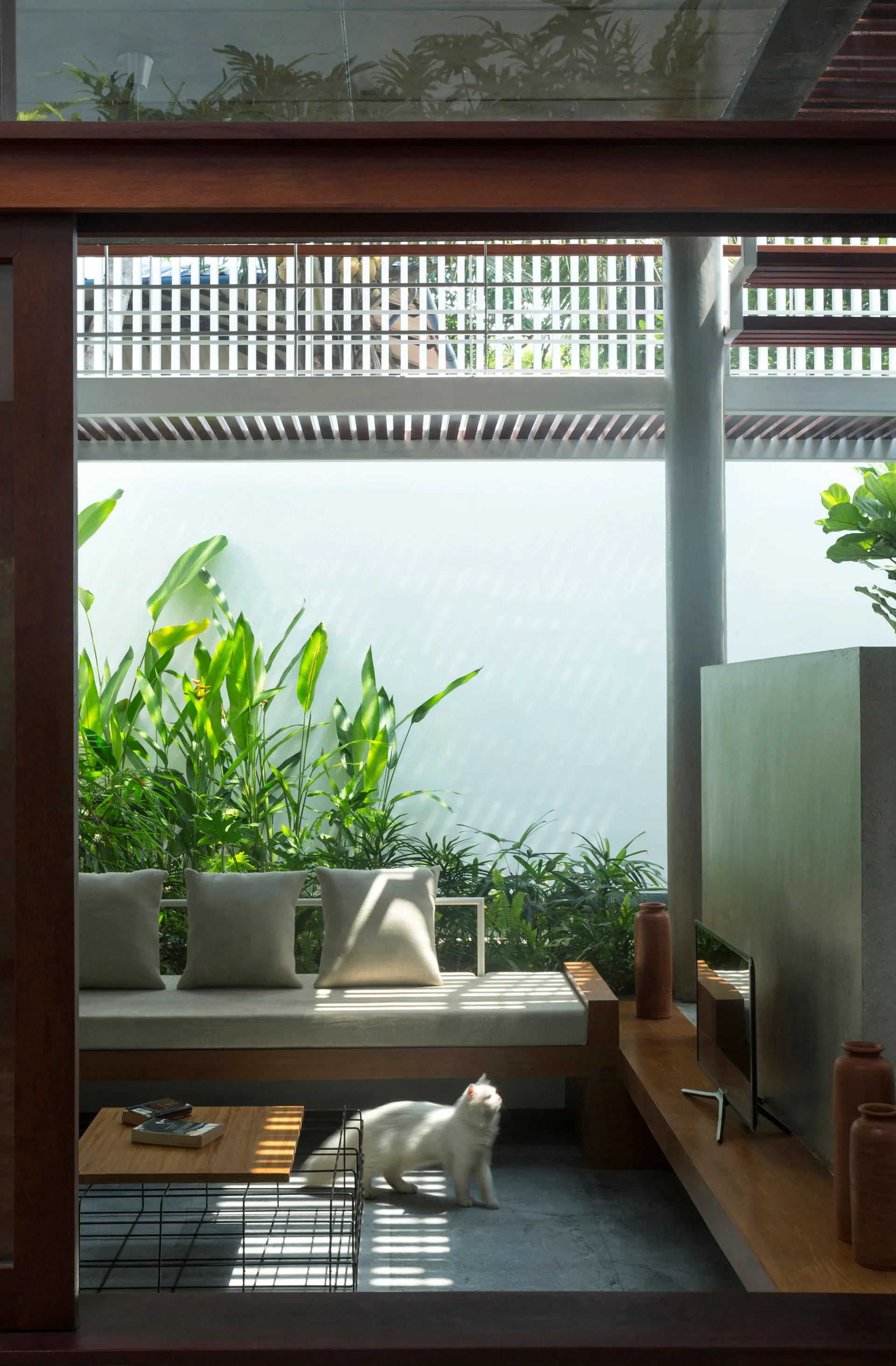 A covered outdoor patio features a wooden daybed with tan cushions, a white cat on the stone floor, and tropical green plants against a white wall.