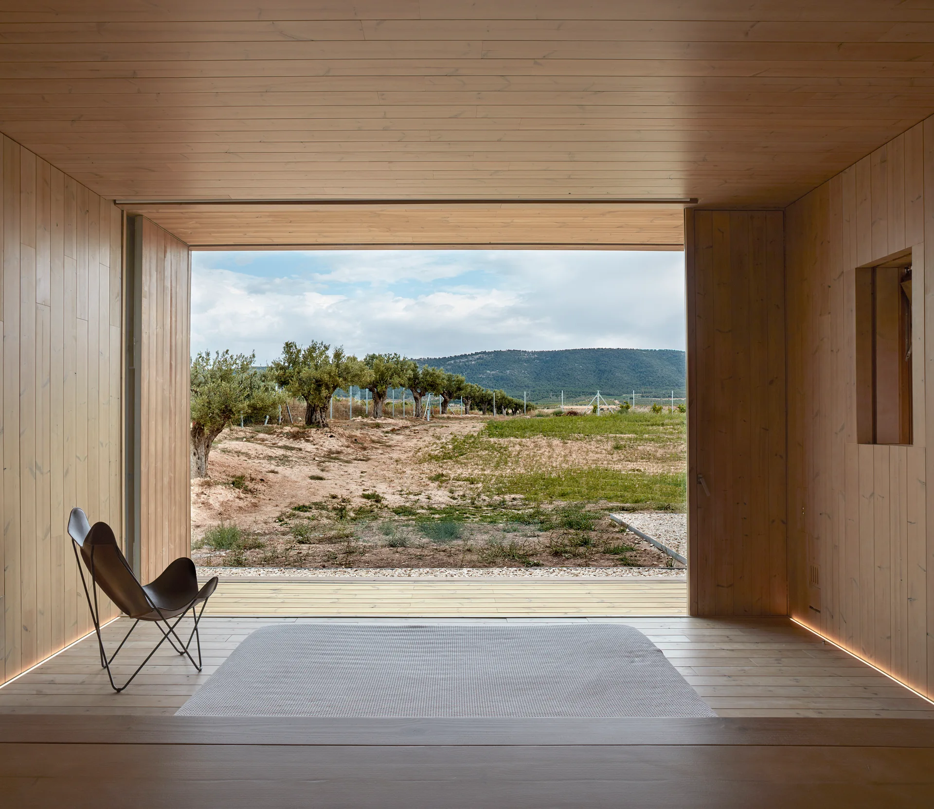A minimalist, wood-lined interior features a single black butterfly chair and a grey rug facing a large open view of a grassy field and olive trees.