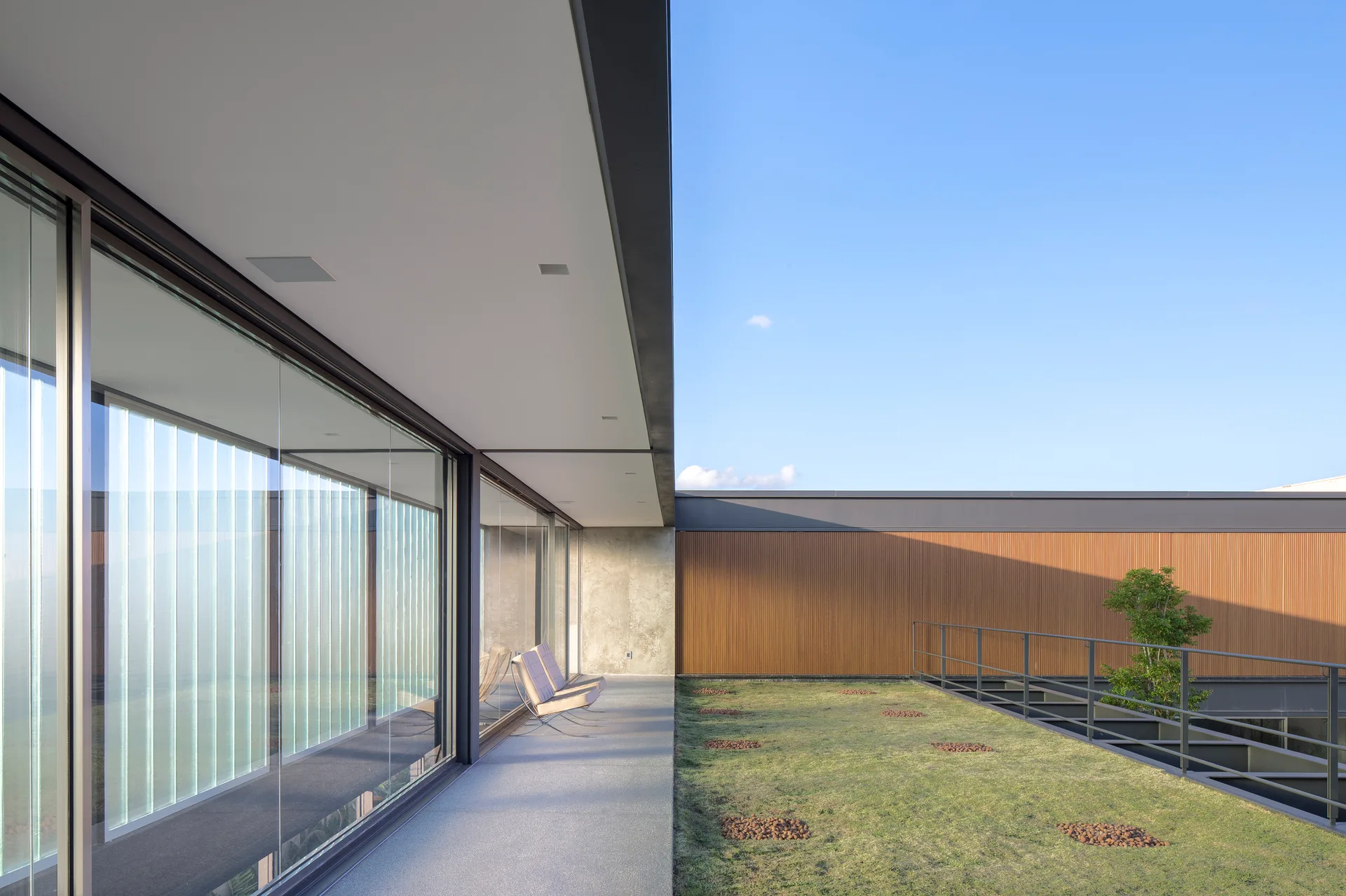 A modern rooftop terrace featuring a concrete walkway under a deep overhang, a grassy green roof area, and a slatted wood accent wall.