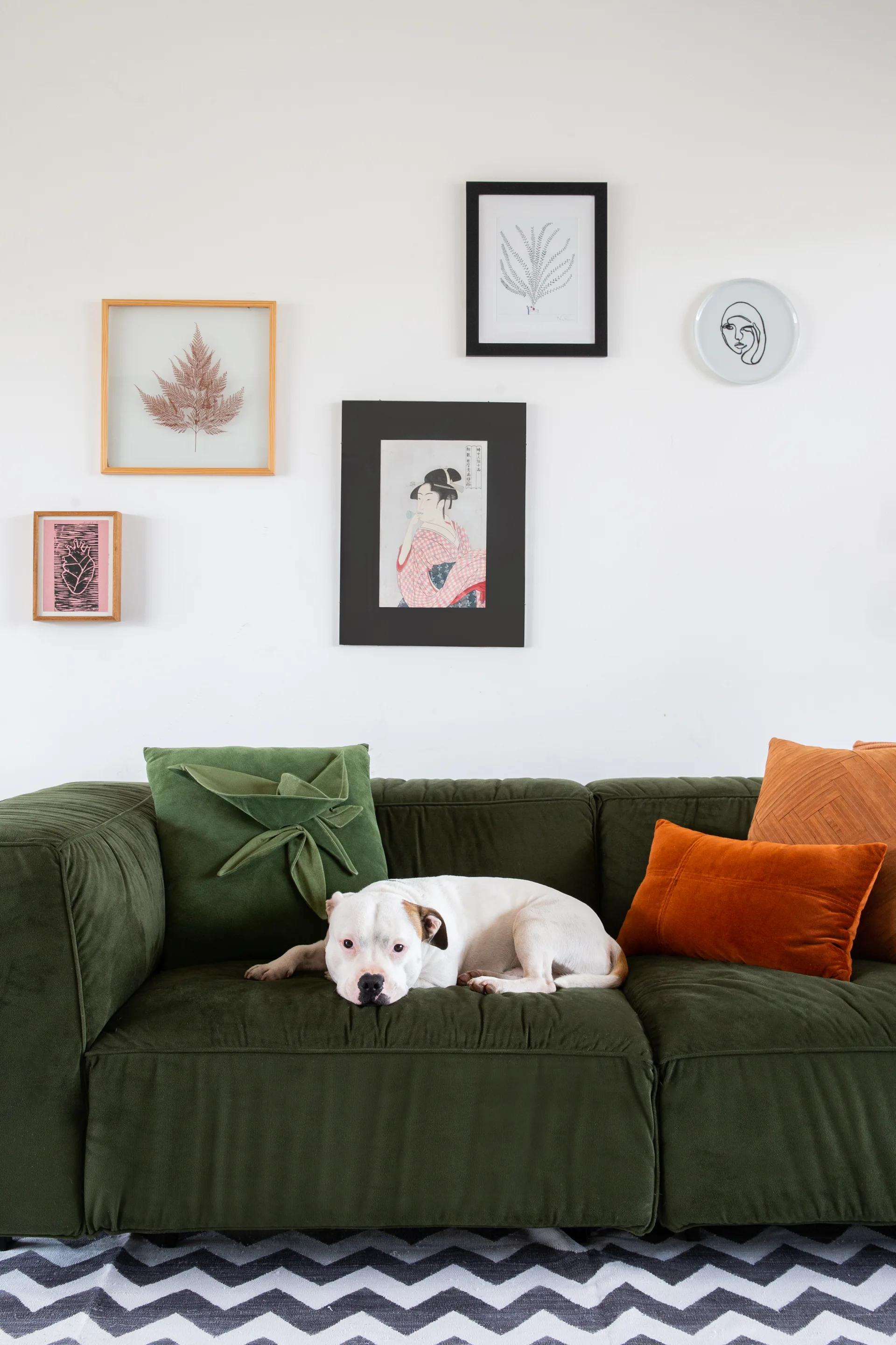 A white dog rests on a dark green velvet sofa with orange pillows beneath a gallery wall of framed art prints.
