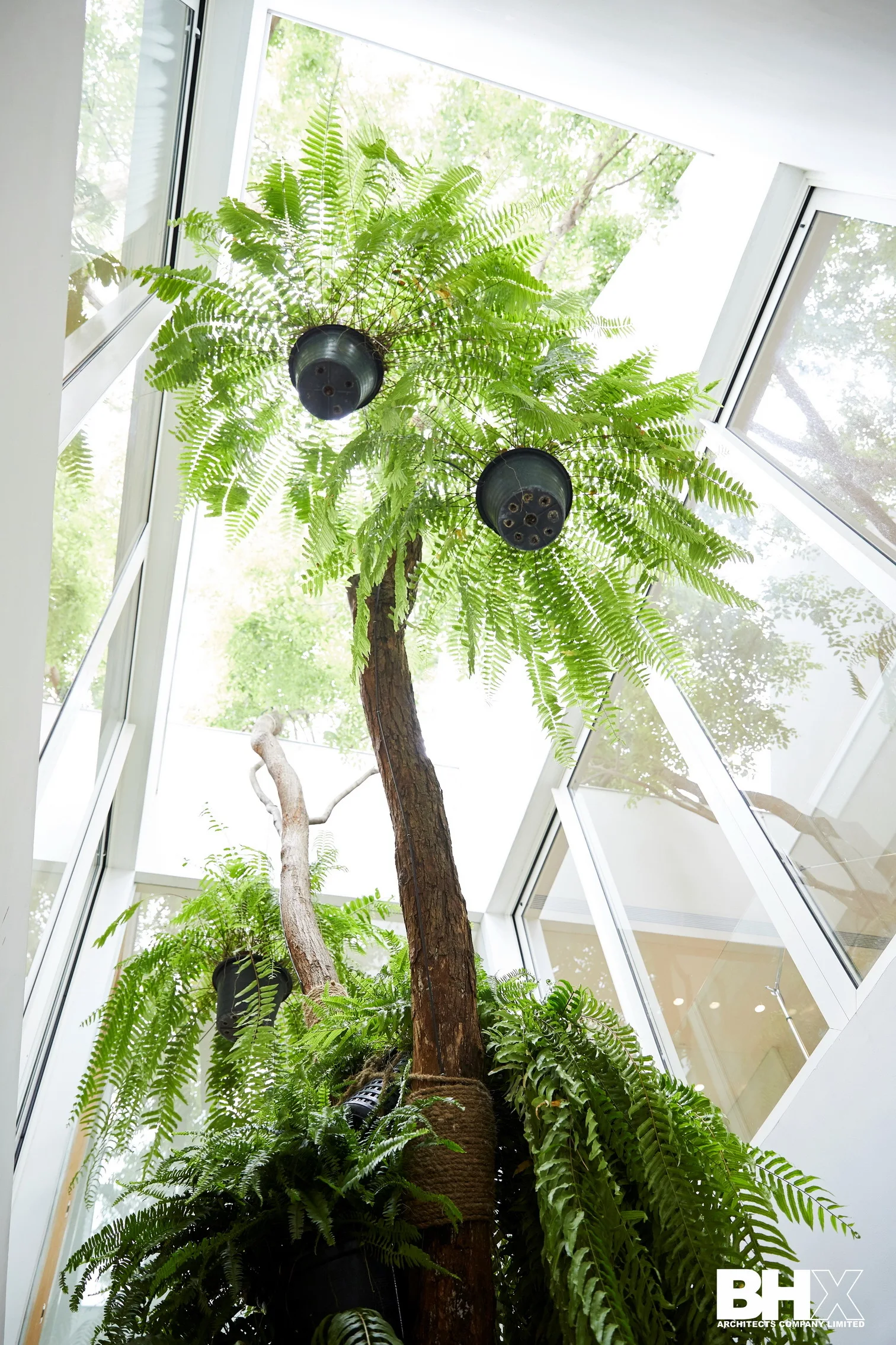A tall tree decorated with hanging potted ferns stands in a bright indoor atrium beneath a large glass skylight.