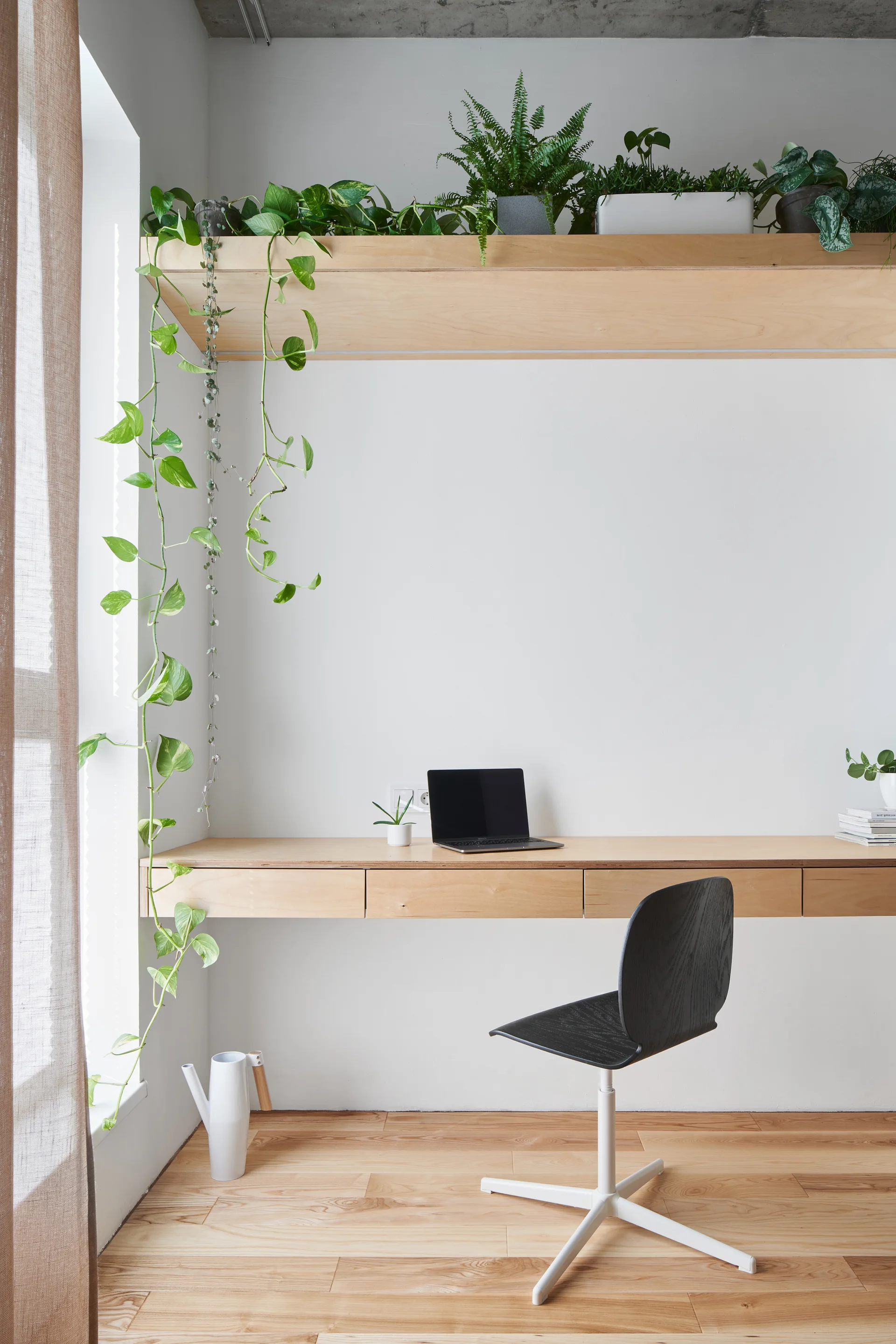 A minimalist workspace featuring a wall-mounted plywood desk, a black task chair, and a high shelf lined with green trailing houseplants.