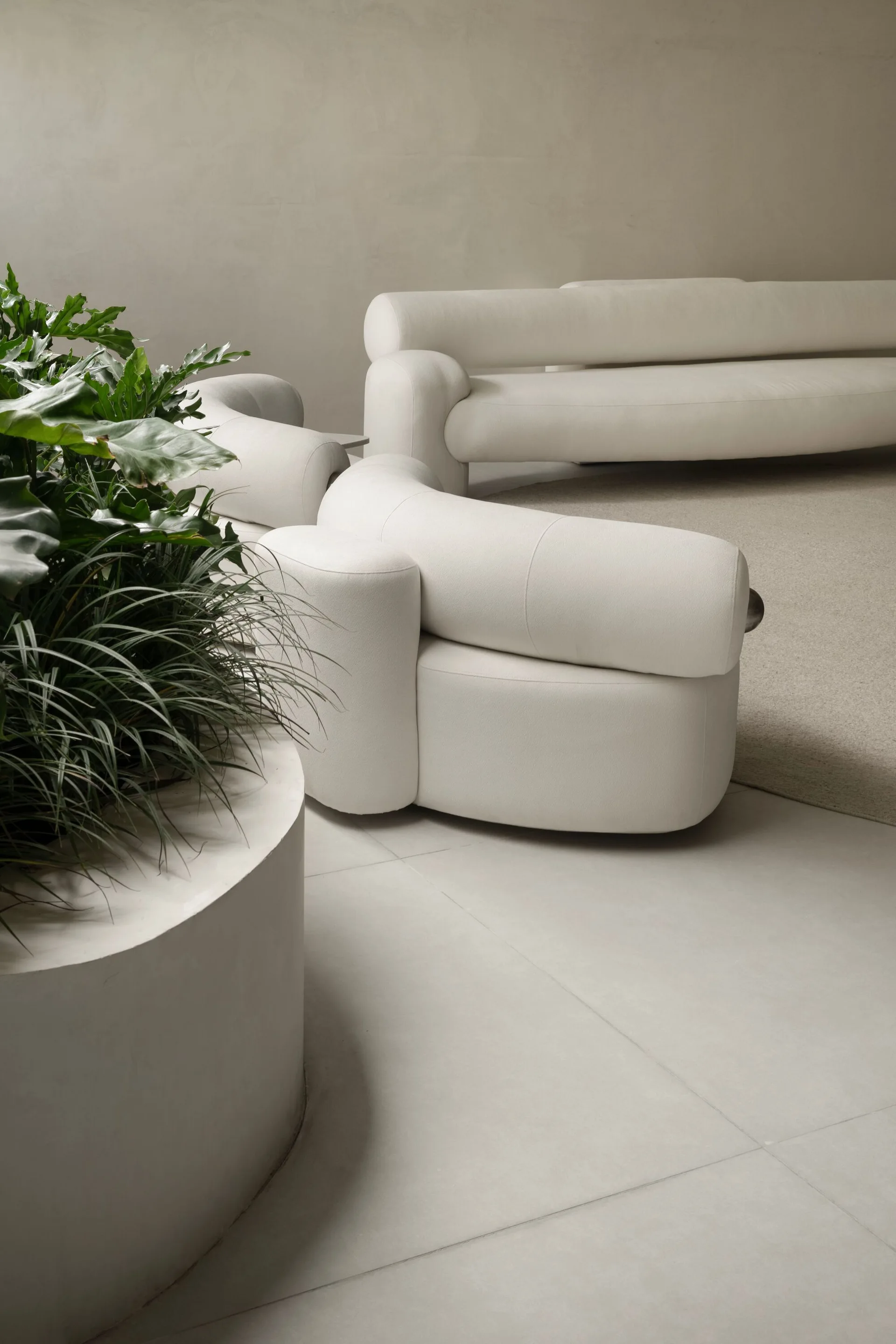 A minimalist living space featuring curved cream-colored sculptural sofas, a beige area rug, and a large plaster planter with lush green plants.