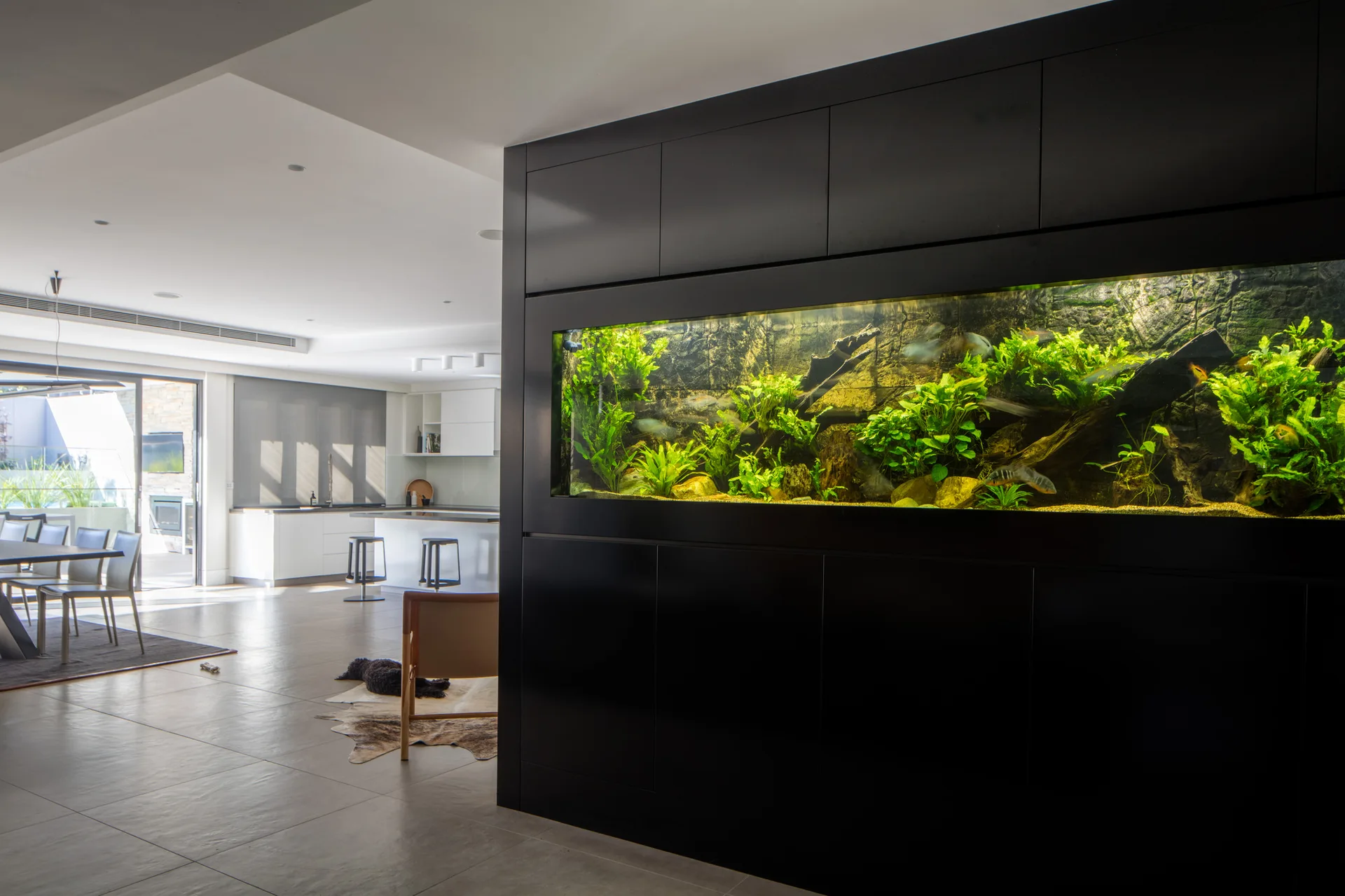 A modern open-plan living space features a large integrated aquarium built into a matte black wall cabinet unit.