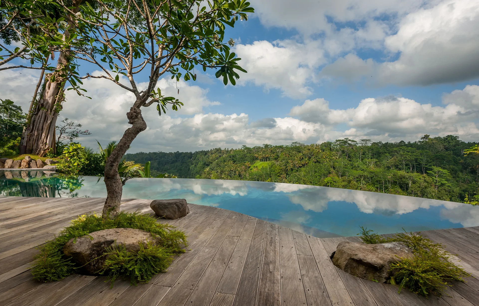 An infinity pool reflects the cloudy sky next to a weathered wood deck featuring integrated natural boulders and a sculptural tree.