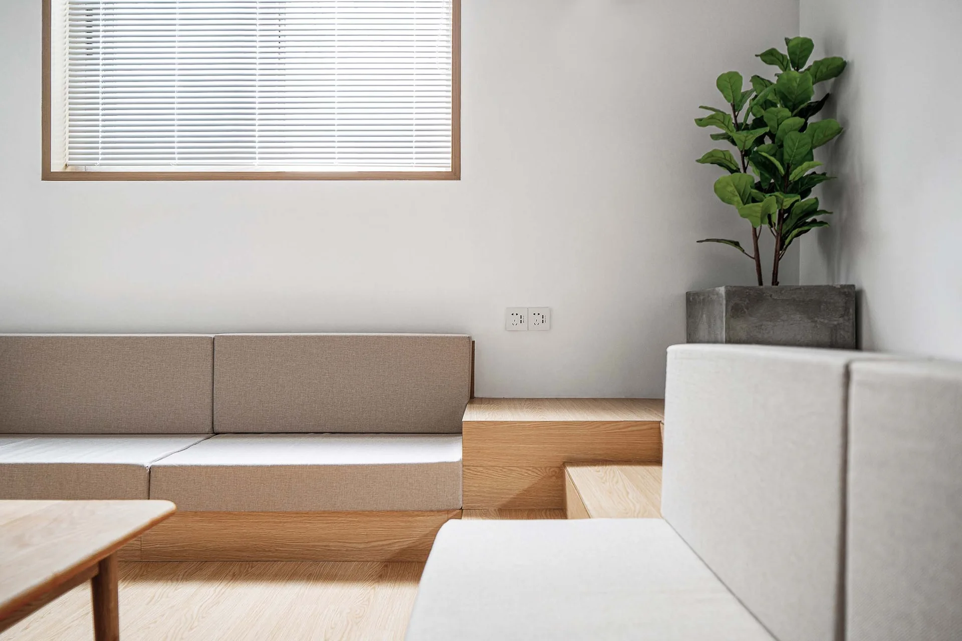 A minimalist living room features a beige modular sofa integrated into a stepped light wood platform alongside a potted green plant in a concrete pot.