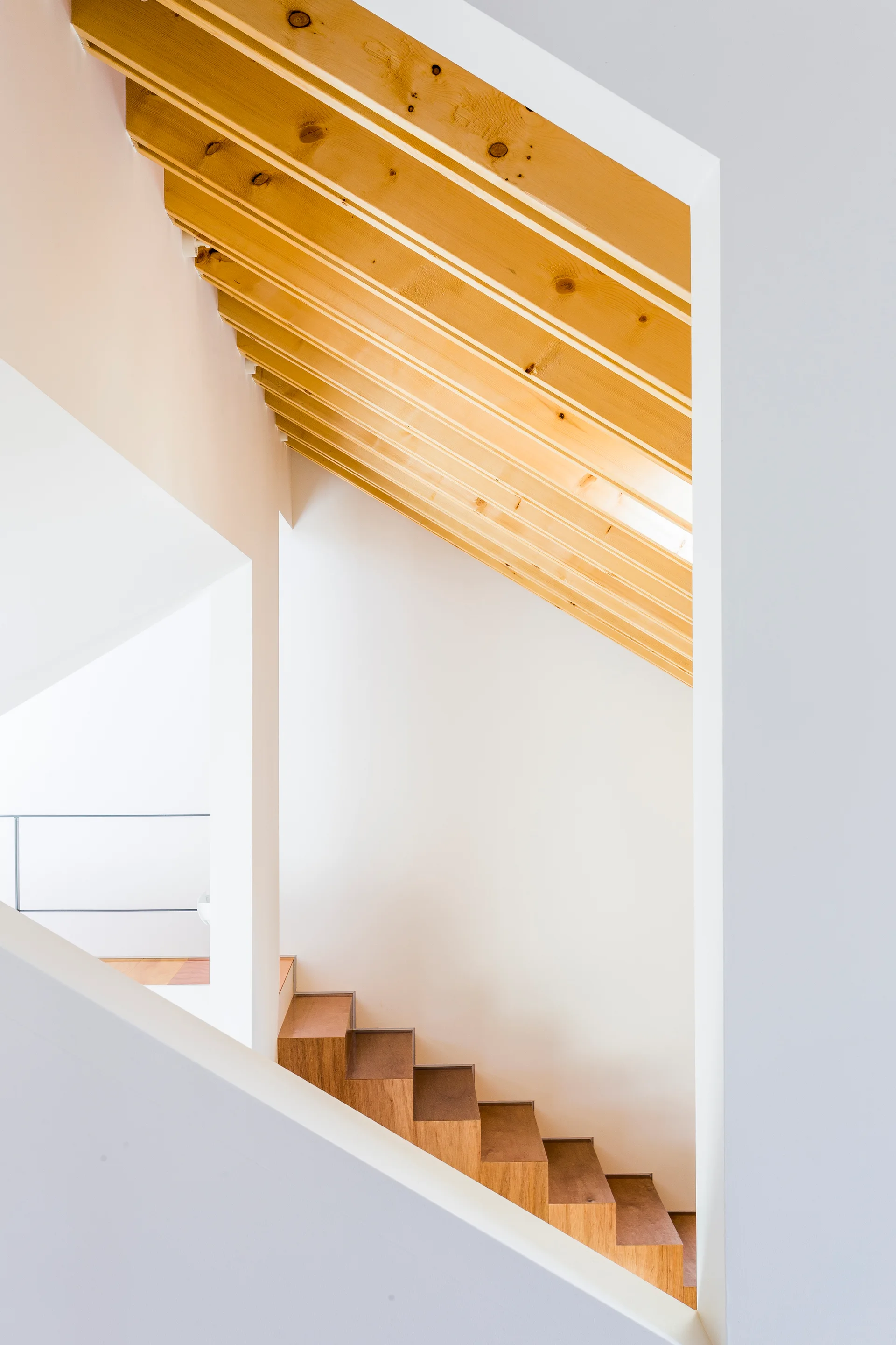 A minimalist wooden staircase is visible through an angular wall opening beneath sloped, exposed pine ceiling beams and smooth white walls.