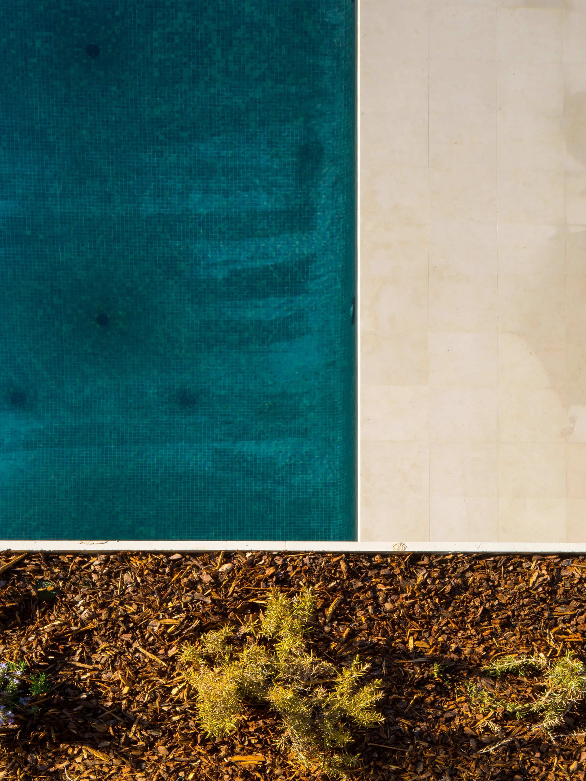 An overhead view of a swimming pool lined with small blue mosaic tiles, bordered by a light beige stone deck and a garden bed with brown mulch.