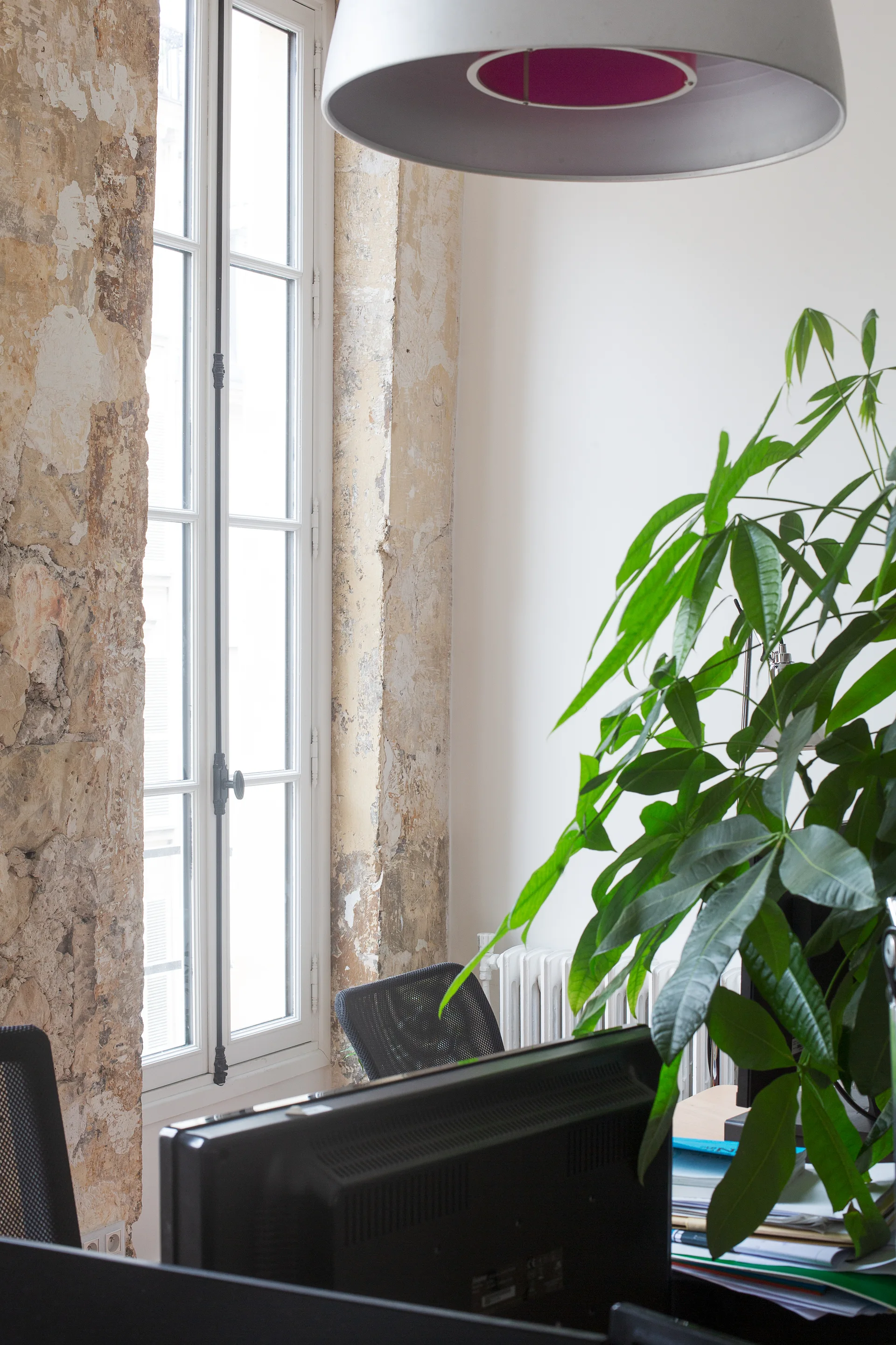 A desk with computer monitors and a green houseplant sits in an office next to a tall window framed by a rough exposed stone wall.