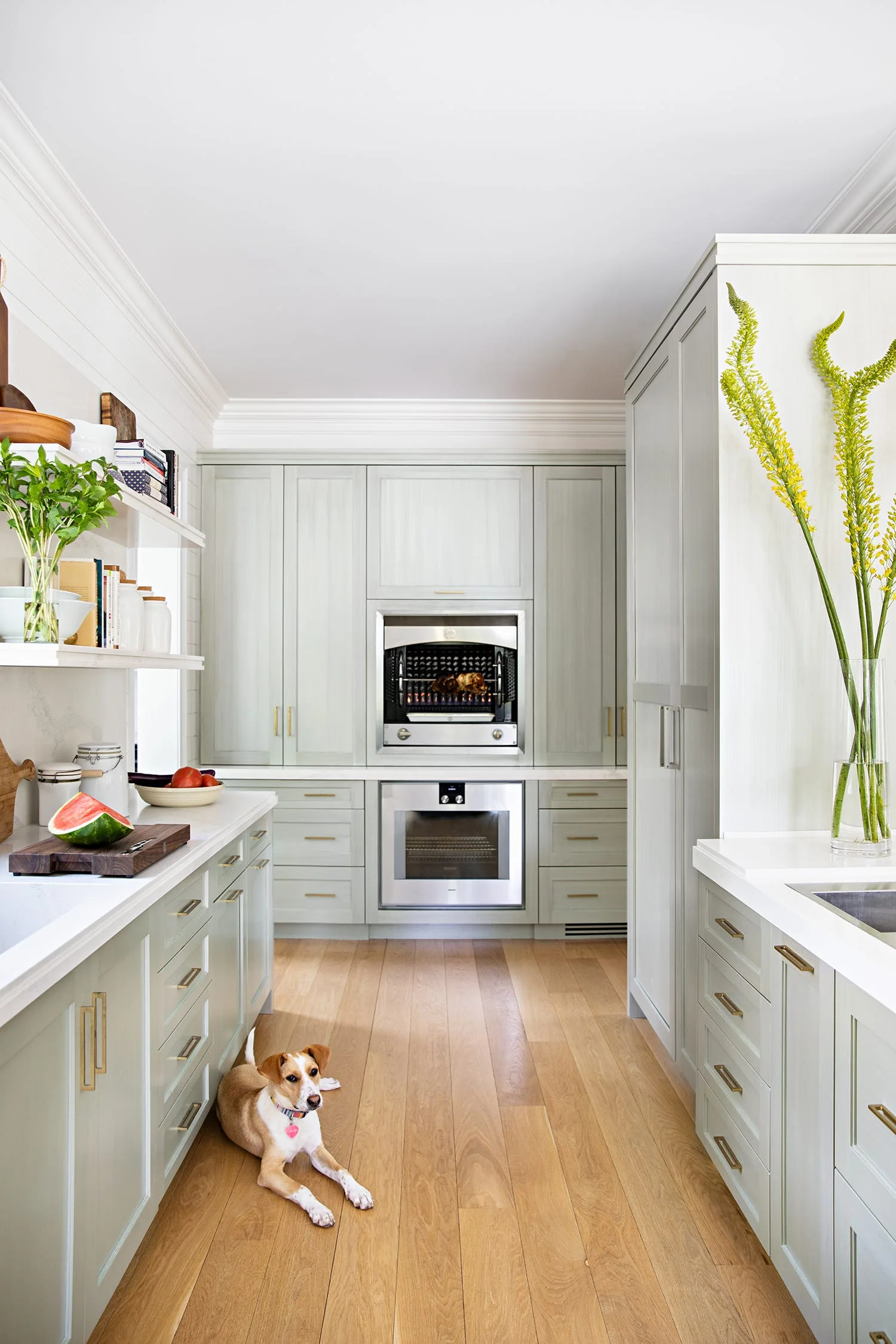 A galley kitchen features light green cabinetry with brass handles, white countertops, a built-in oven, and wood plank flooring where a small dog lies.