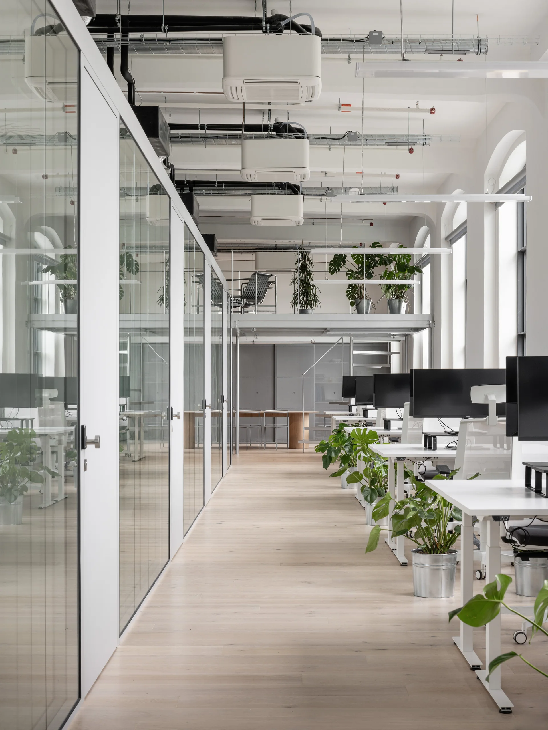A bright office hallway lined with glass-partitioned rooms on the left and white desks with potted monsteras and monitors on the right.