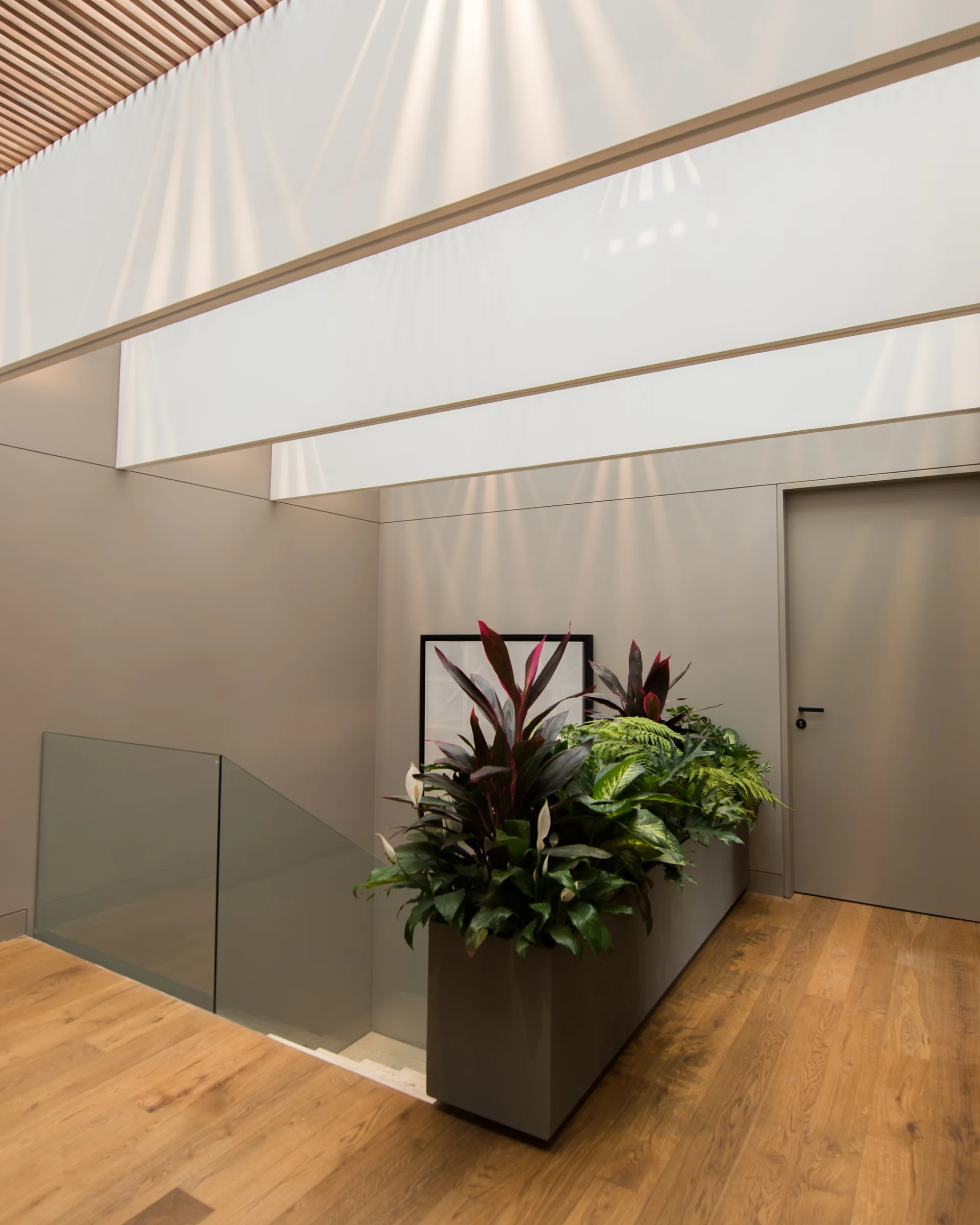 A modern stairwell landing featuring a large taupe planter with green plants, a glass railing, and natural light from a skylight.