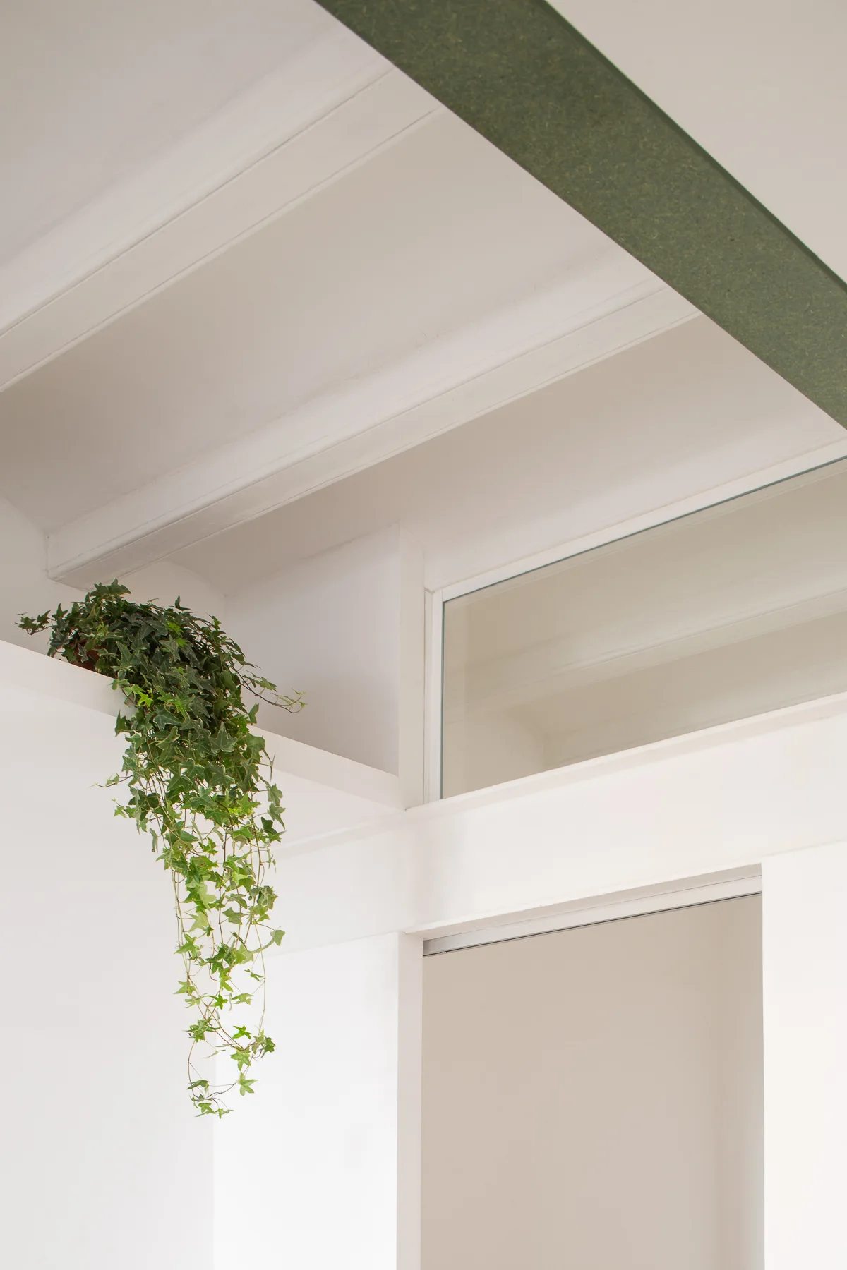 A low-angle shot of a green ivy plant cascading from a high white ledge next to a transom window and a dark ceiling beam.