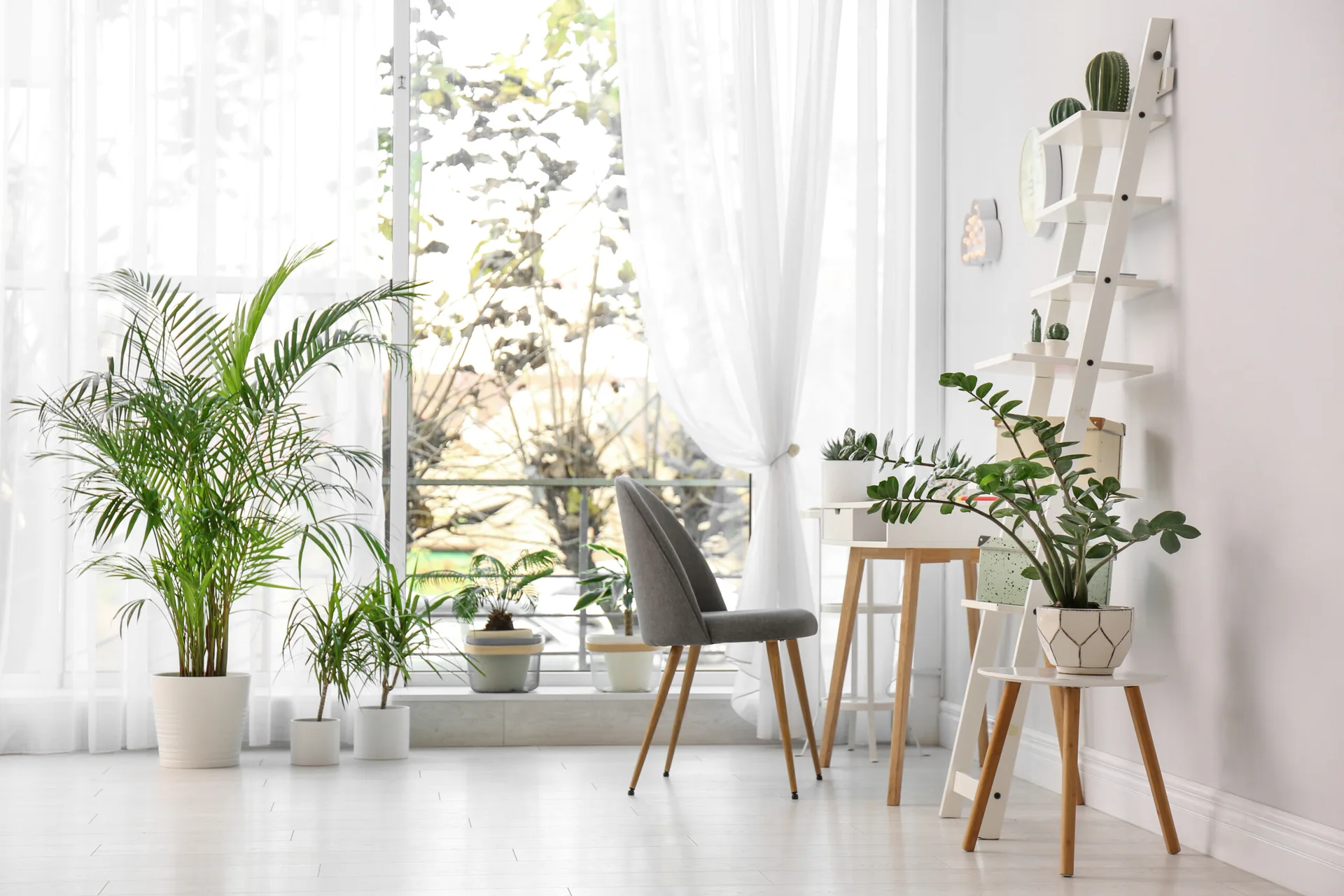 A sunlit home office featuring a white desk, a grey upholstered chair, a white wooden ladder shelf, and multiple potted green plants.