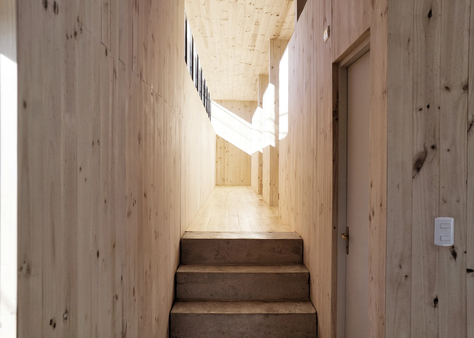 Concrete stairs lead up into a narrow hallway covered in vertical light wood planks with natural sunlight streaming from above.