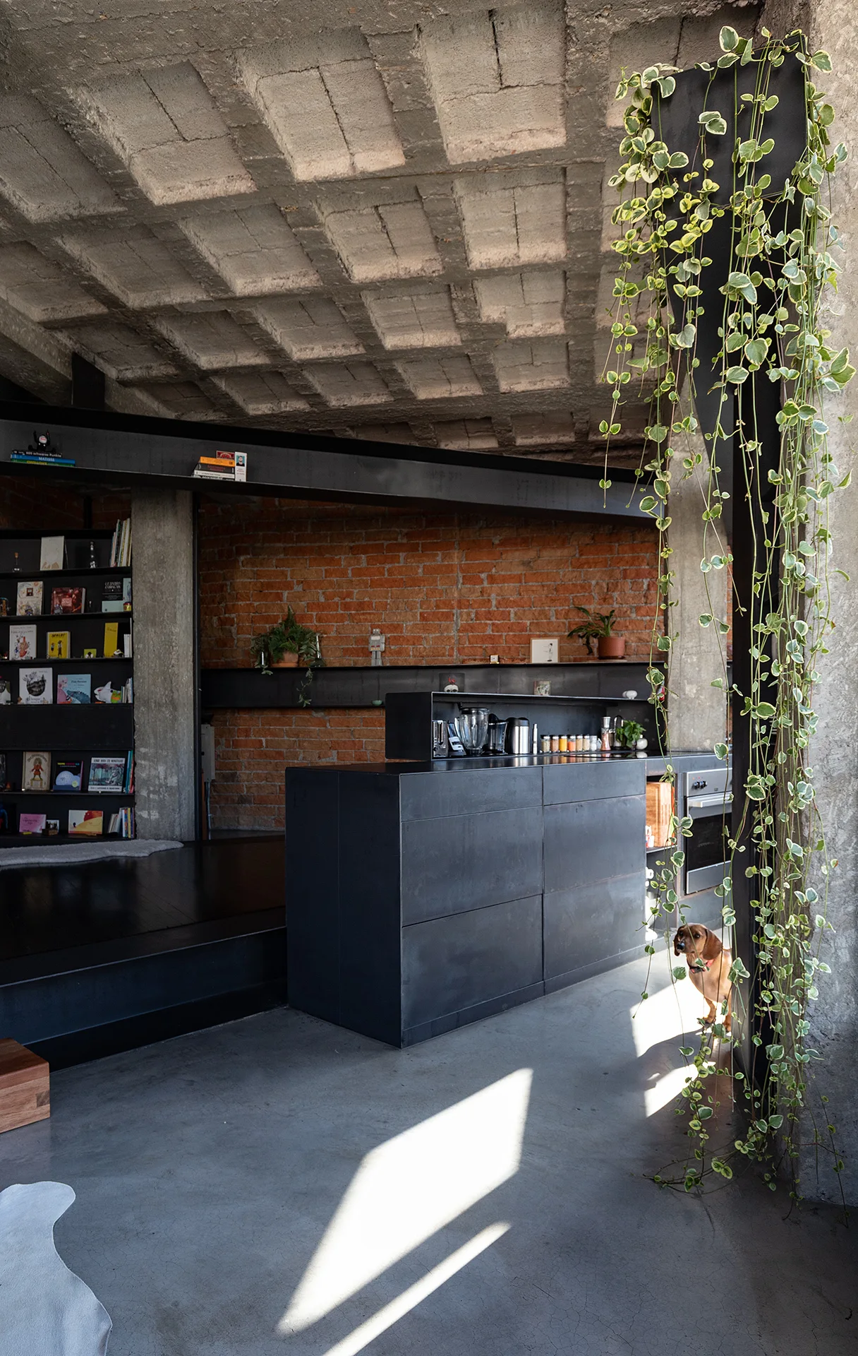 An industrial loft kitchen features a matte black island, concrete coffered ceiling, exposed red brick wall, and trailing green plants.