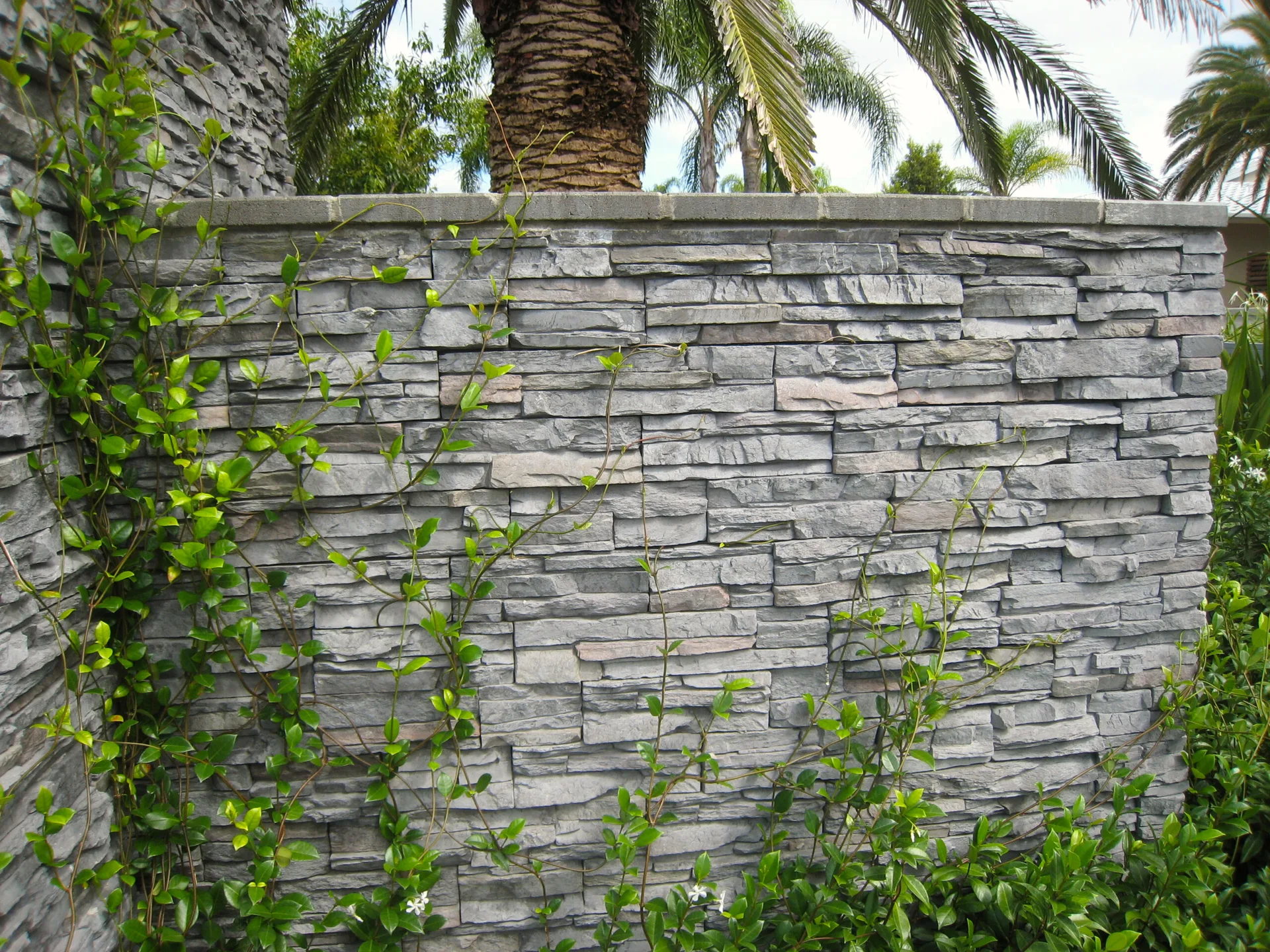 A textured grey stacked stone garden wall features green climbing vines on its surface, with lush shrubbery below and a palm tree in the background.