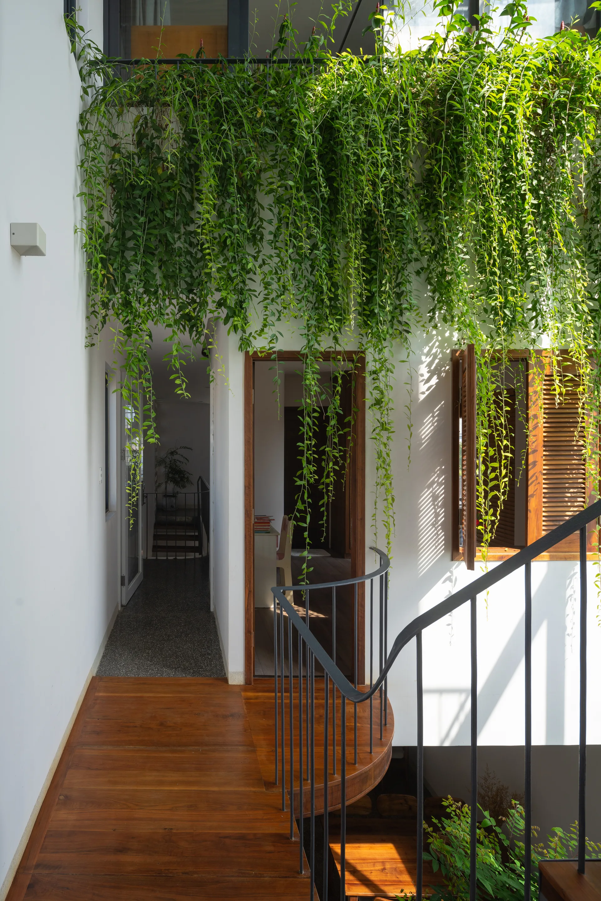 A wooden staircase landing with a black metal railing features open doorways and a lush curtain of green vines cascading from an overhead planter.