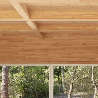 A close-up view of a light wood plank ceiling with crossing timber beams above a large window framing green forest trees.