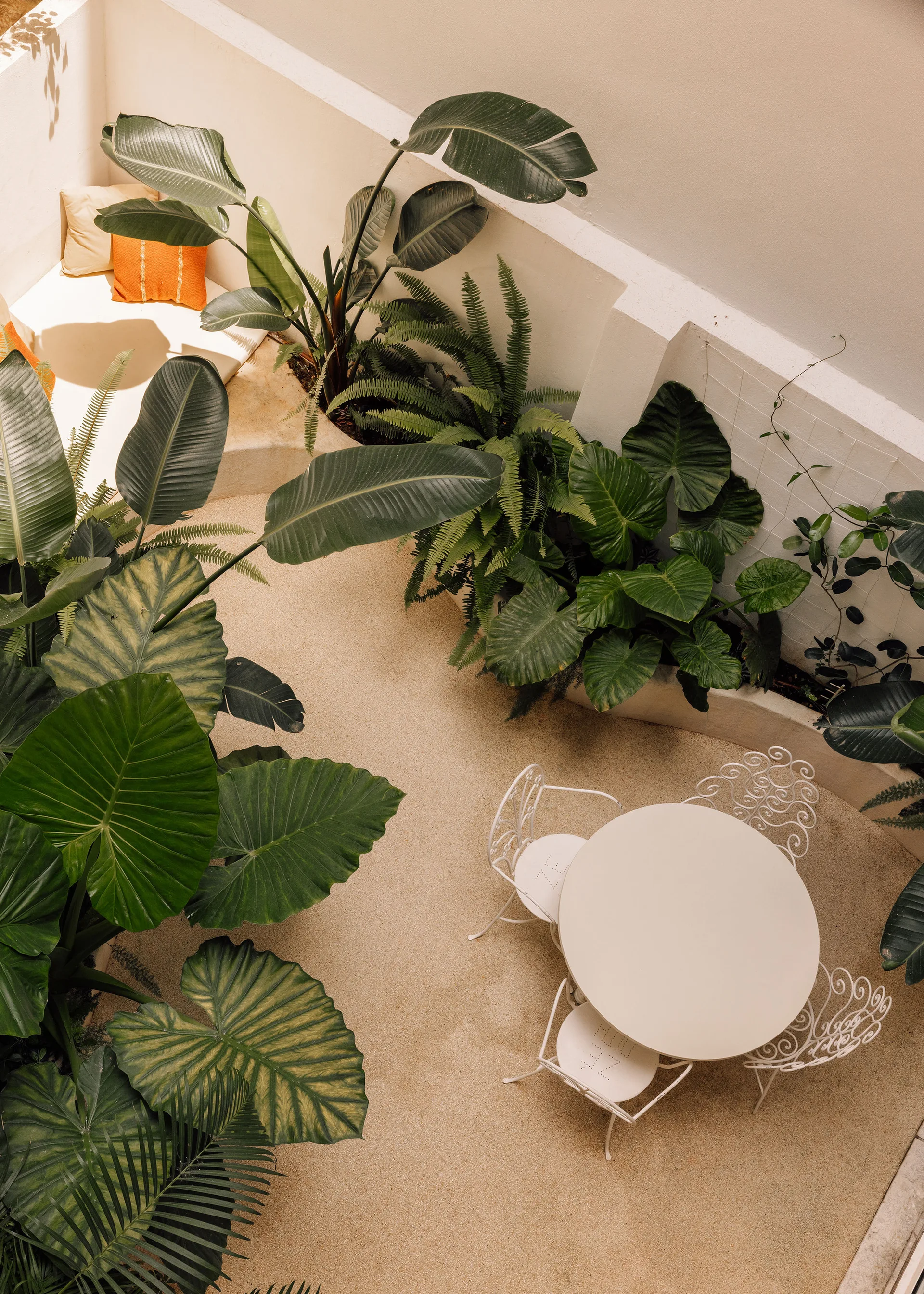 An overhead view of an enclosed courtyard featuring a white metal bistro table and chairs surrounded by large-leafed tropical plants.