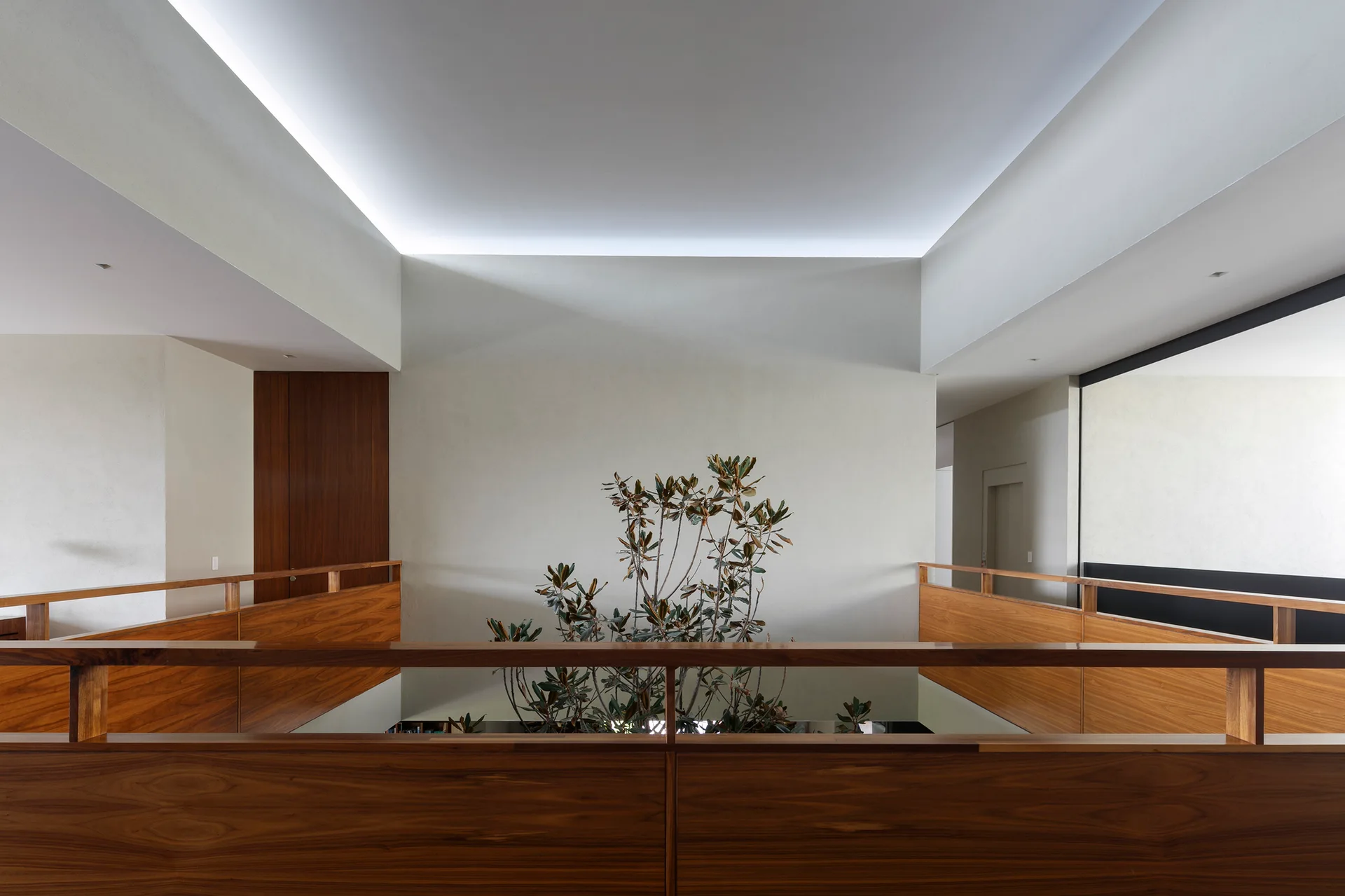 A modern mezzanine landing features warm wood railings overlooking an atrium with a central green plant and soft cove lighting on the ceiling.