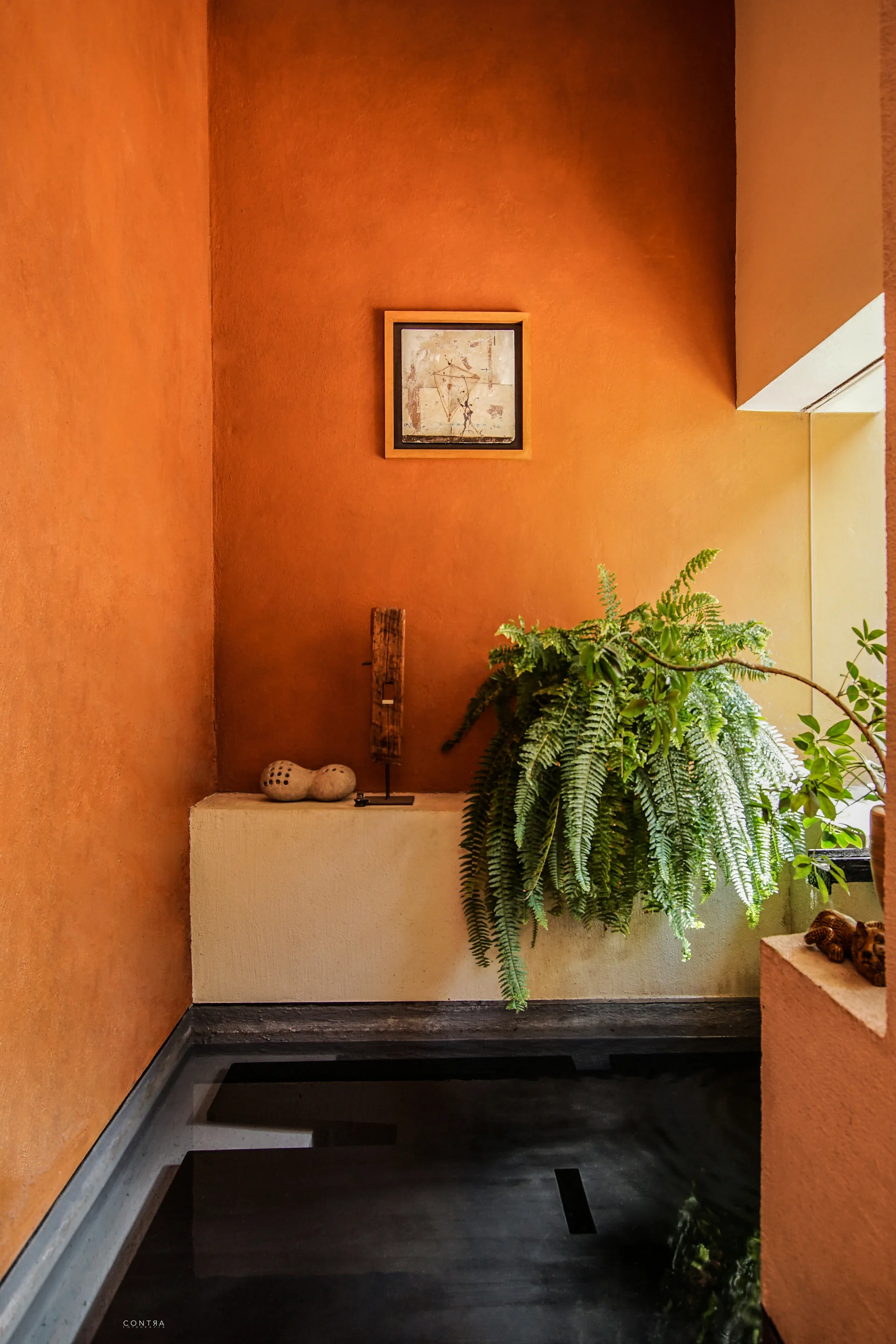 A corner space featuring matte terracotta plaster walls, a white built-in ledge with a green fern, and a reflective black indoor pool at the base.