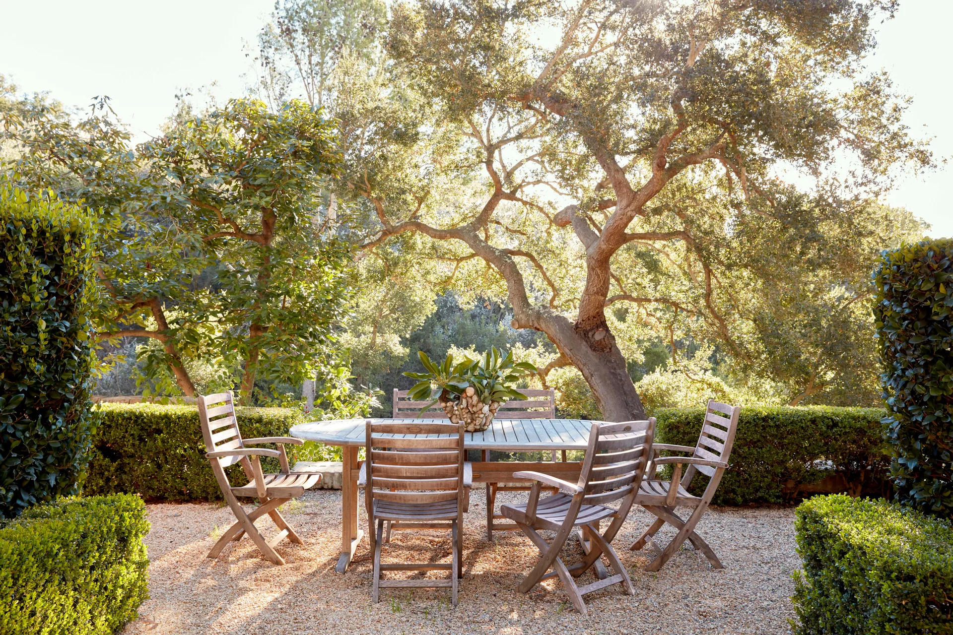 A weathered wooden dining table and chairs sit on a gravel patio surrounded by manicured boxwood hedges and a mature tree.