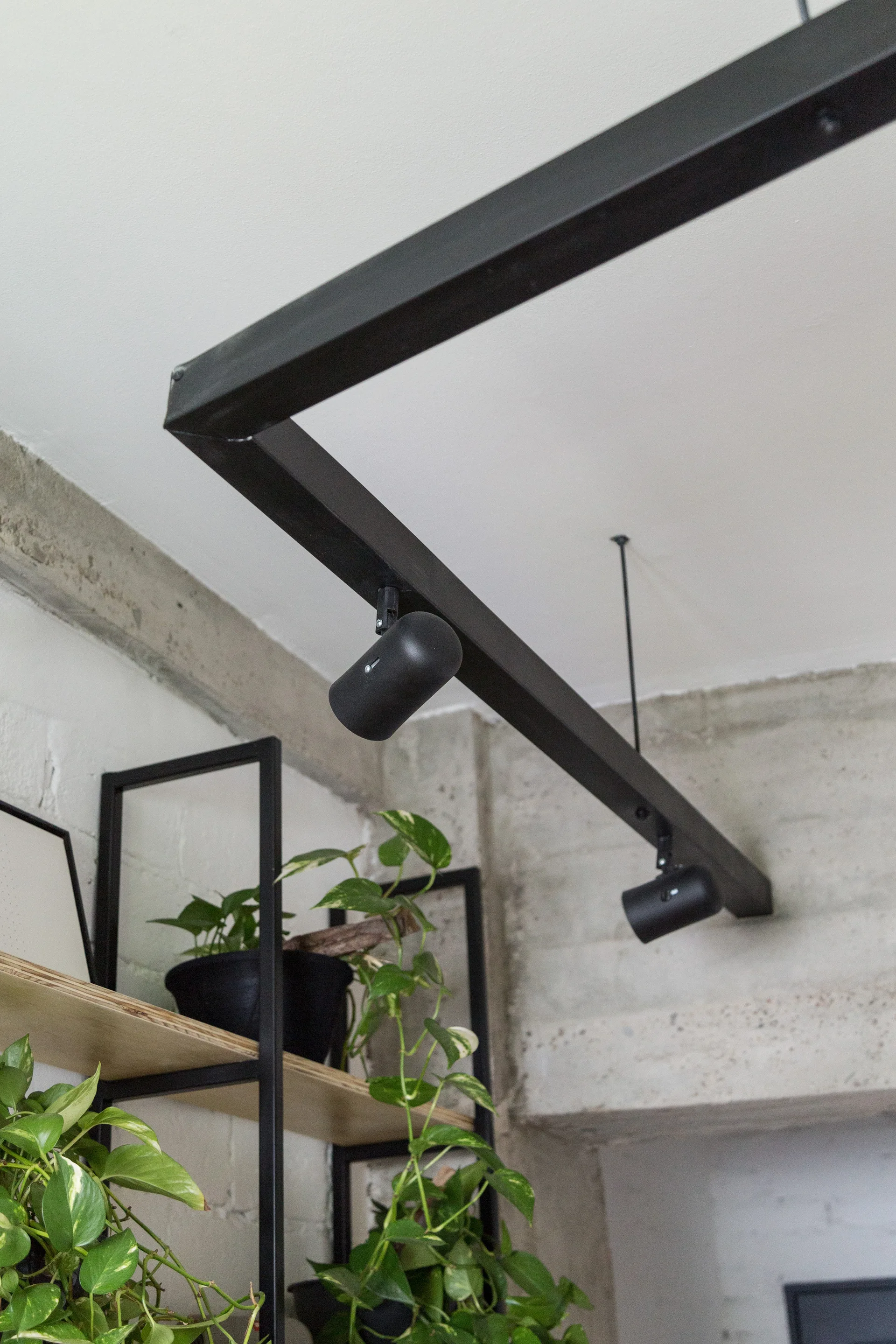 A close-up of a matte black track lighting fixture suspended below a white ceiling near an exposed concrete wall and open shelving with houseplants.