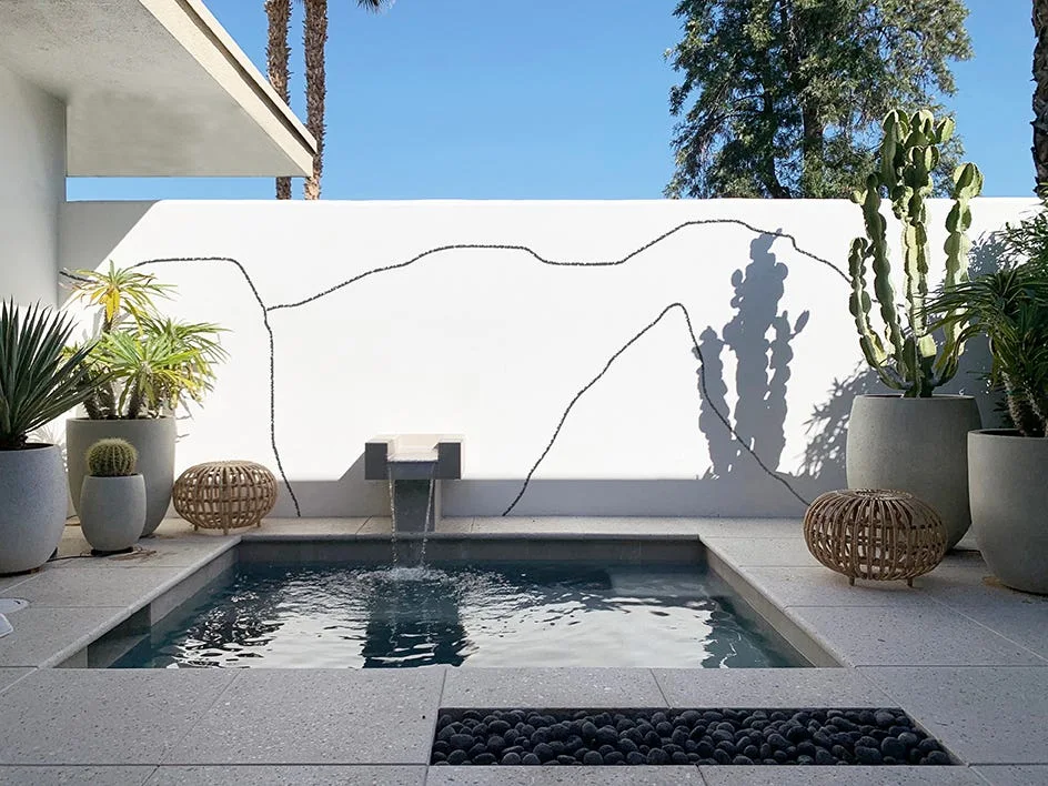 A small outdoor plunge pool is flanked by concrete planters with cacti against a white wall decorated with simple black line art.