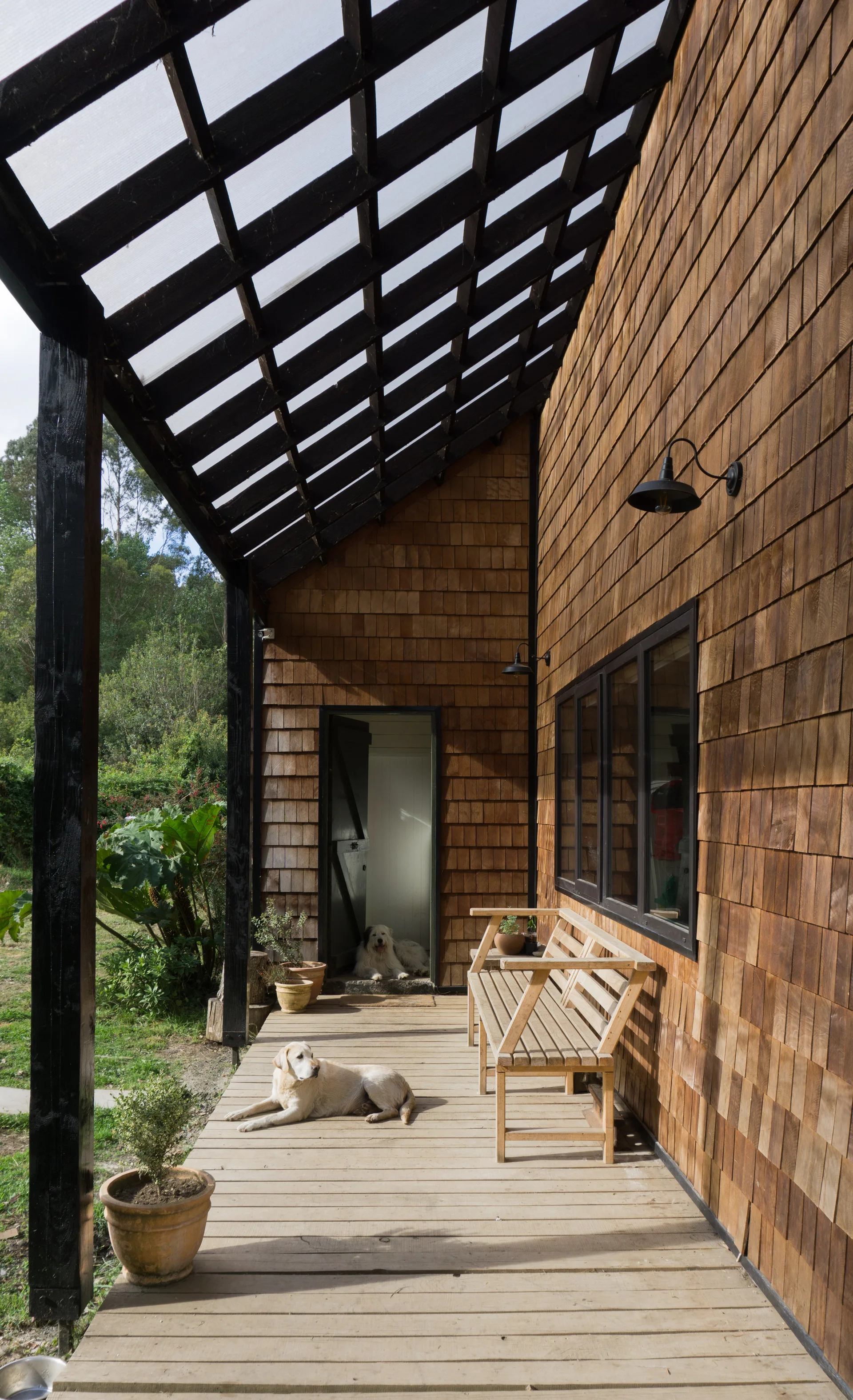 A wooden deck with cedar shake siding features a black-framed slatted roof canopy, a slatted wooden bench, and two dogs resting.