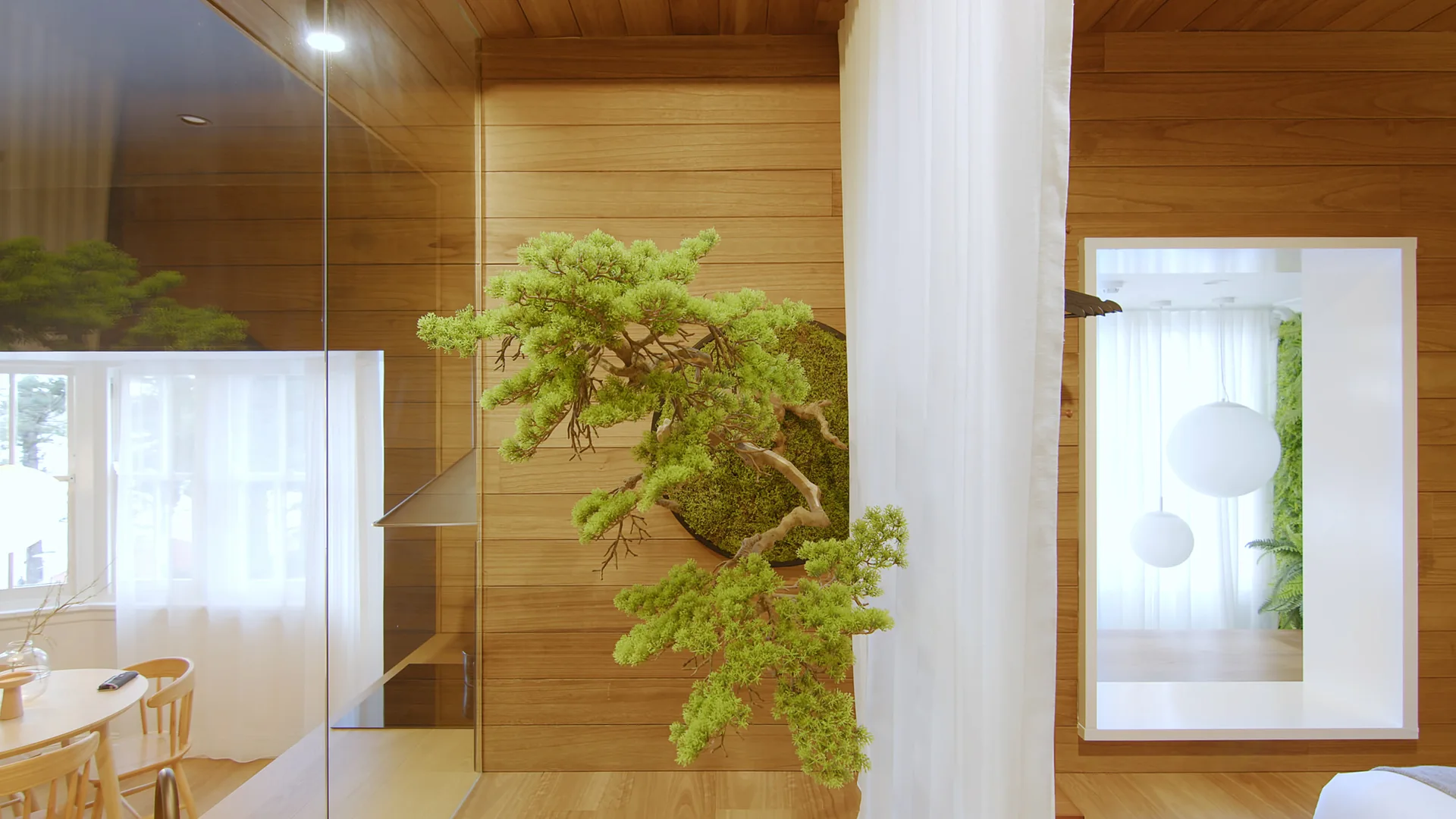 A bonsai tree mounted on a circular moss disc sits against horizontal wood paneled walls next to a sheer white room divider curtain.
