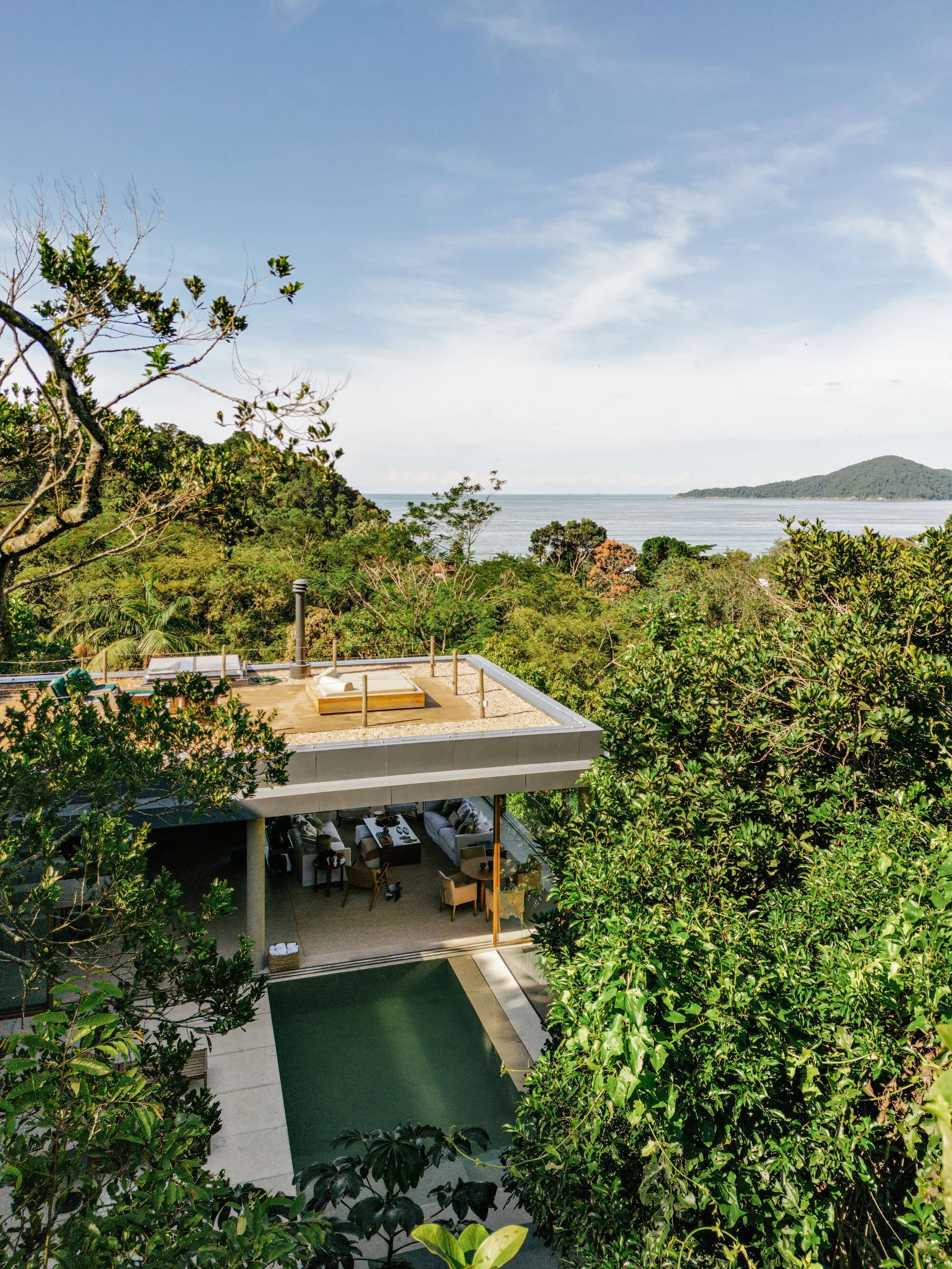 A modern home nestled in coastal trees features a flat rooftop terrace, a rectangular swimming pool, and glass walls showing an indoor living area.
