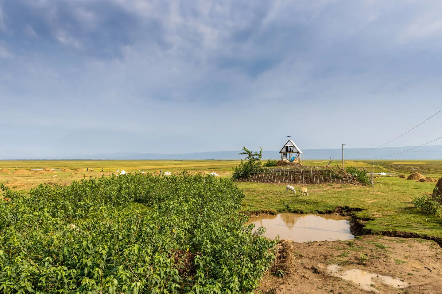 An expansive green landscape features a small elevated wooden hut next to a natural pond under a cloudy blue sky.