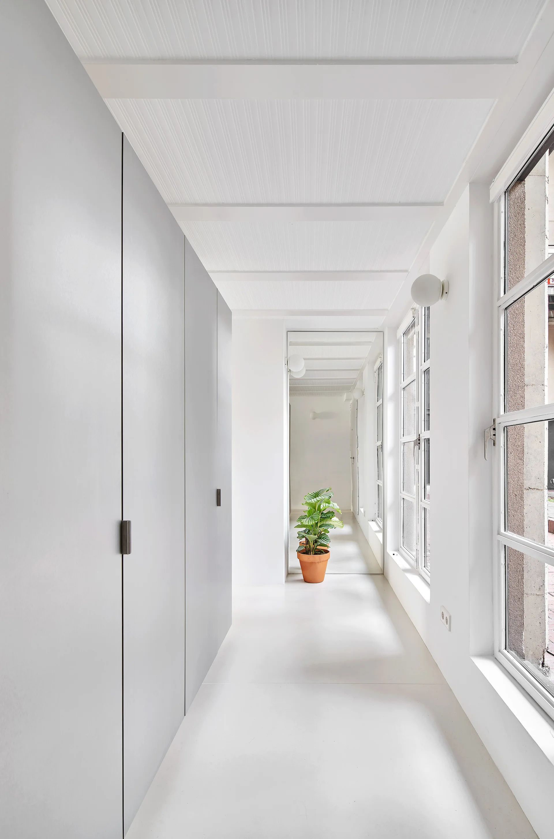 A bright minimalist hallway with full-height matte grey cabinets, a white paneled ceiling, side windows, and a green potted plant in the background.