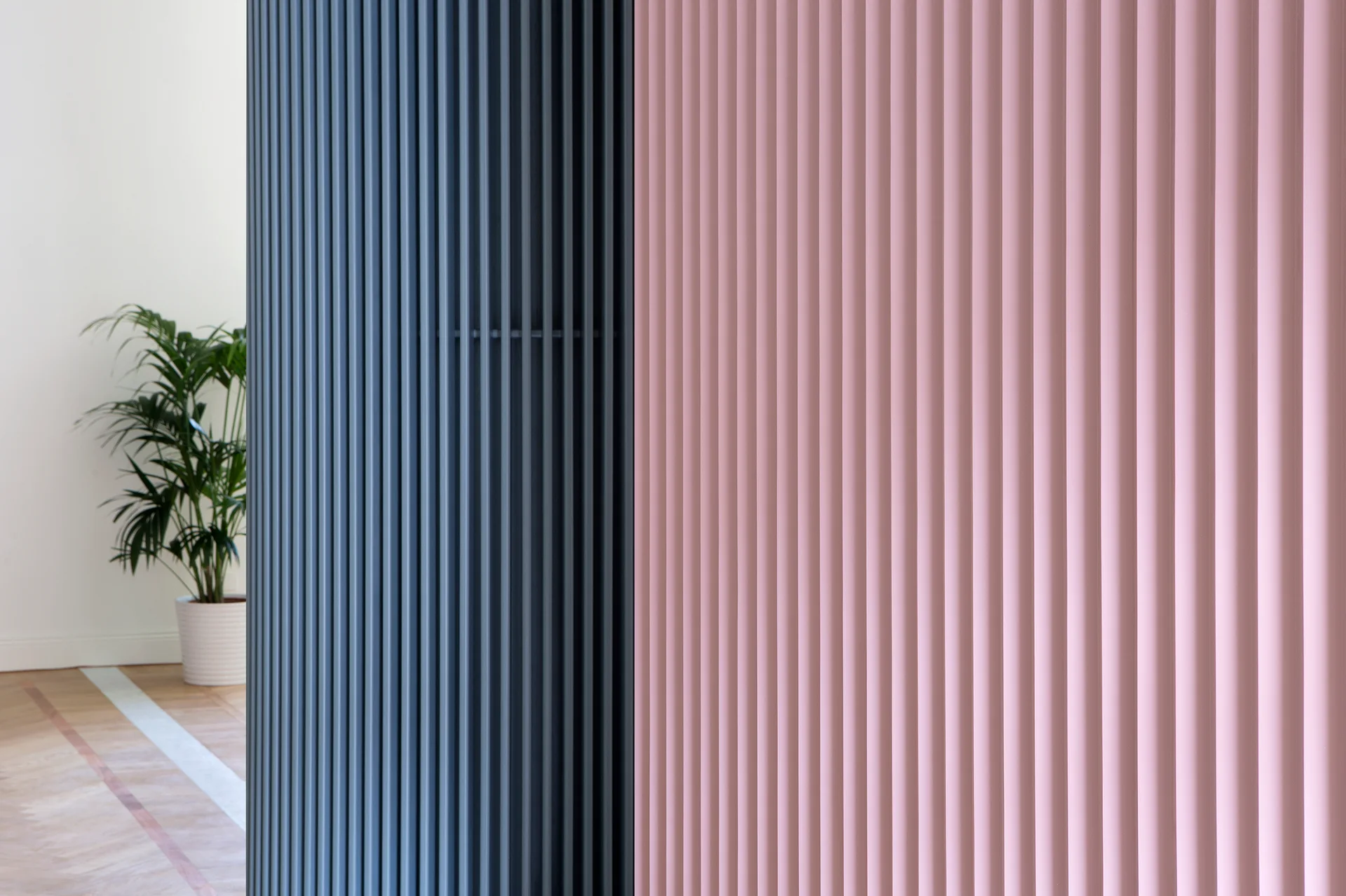 A close-up view of contrasting vertical fluted wall panels in matte navy blue and dusty pink with a potted plant in the background.