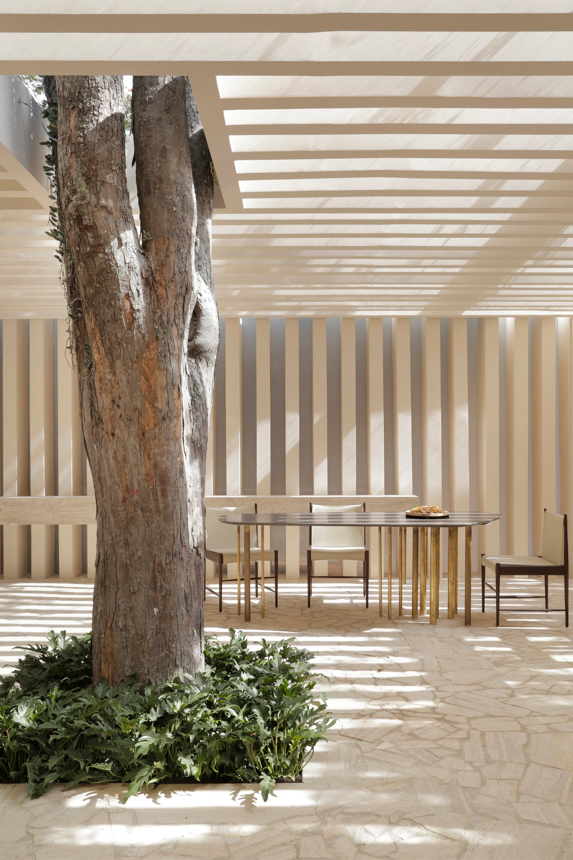 A modern outdoor dining set sits on a stone patio beneath a beige slatted pergola that features an integrated mature tree.
