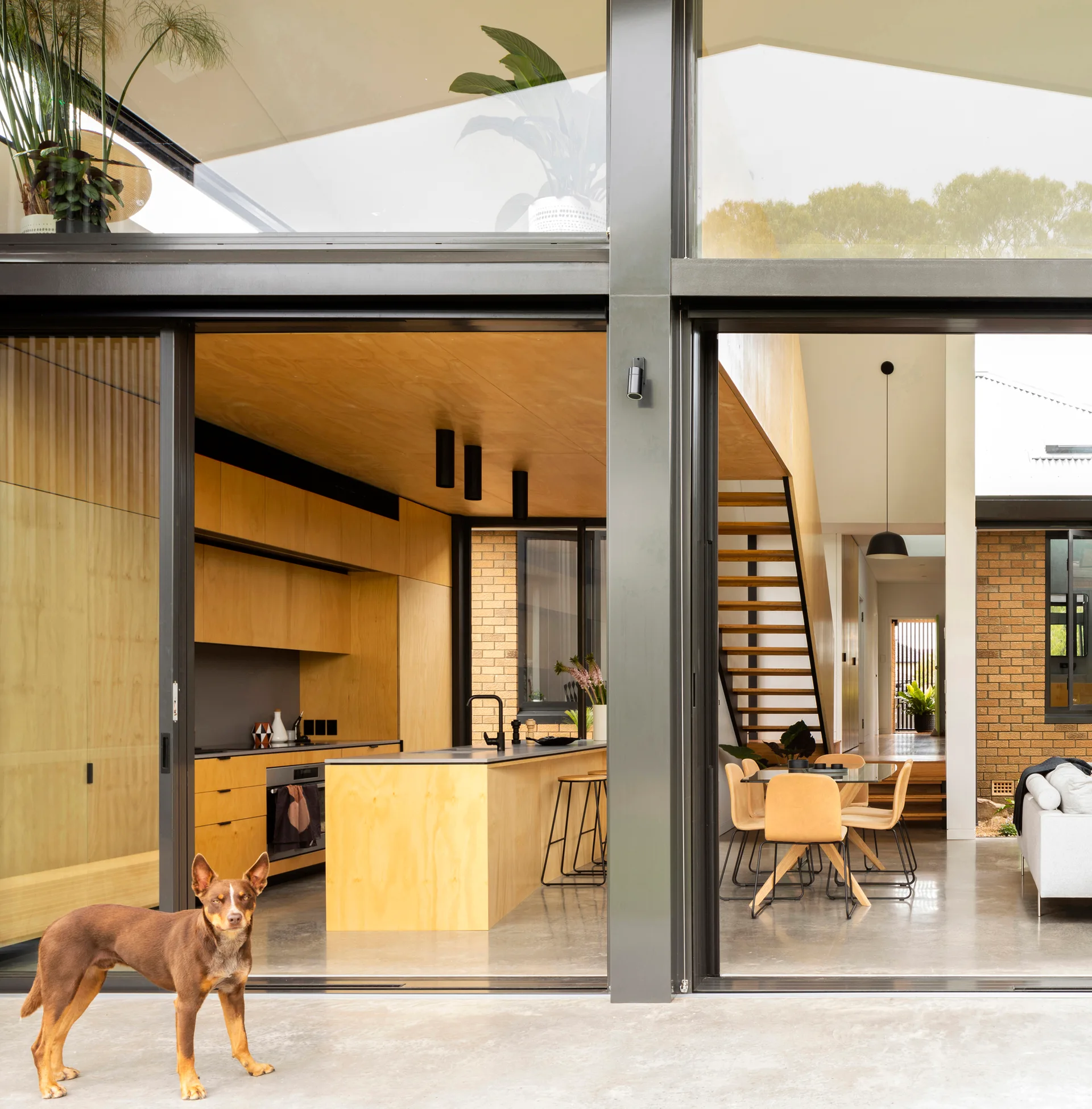 A modern open-plan kitchen and dining room featuring light plywood cabinetry, a concrete floor, and large sliding glass doors opening to a patio.