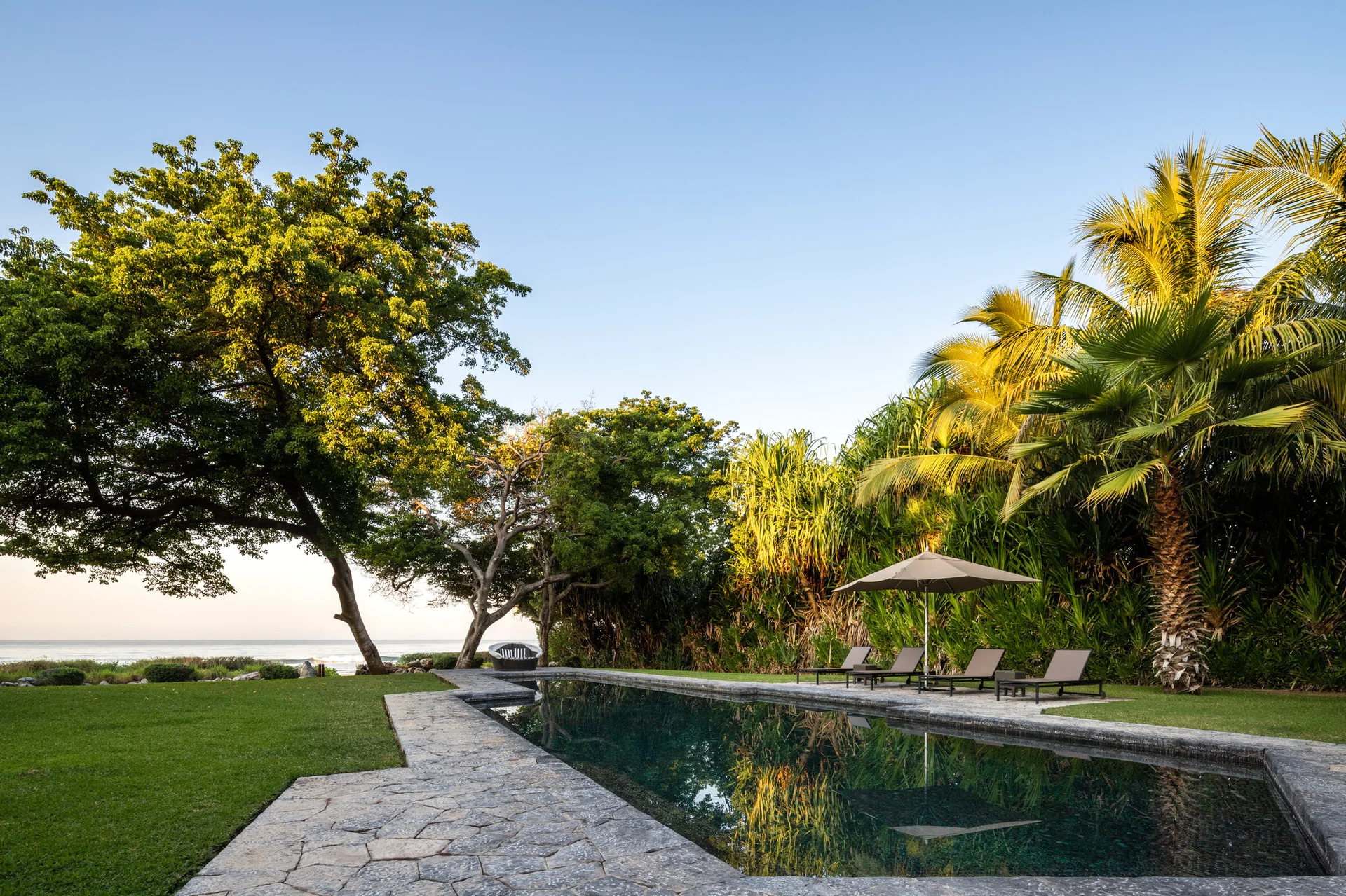 A long rectangular swimming pool with a grey stone deck is surrounded by green grass, tropical palm trees, and lounge chairs under an umbrella.
