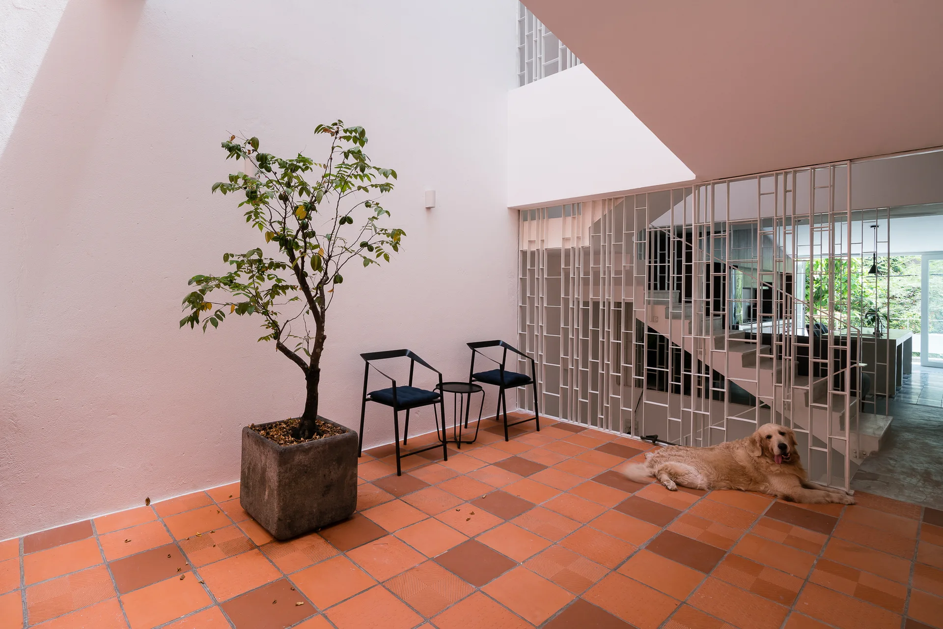An indoor courtyard features terracotta tile flooring, a large potted tree, two minimalist black chairs, and a white geometric metal partition.