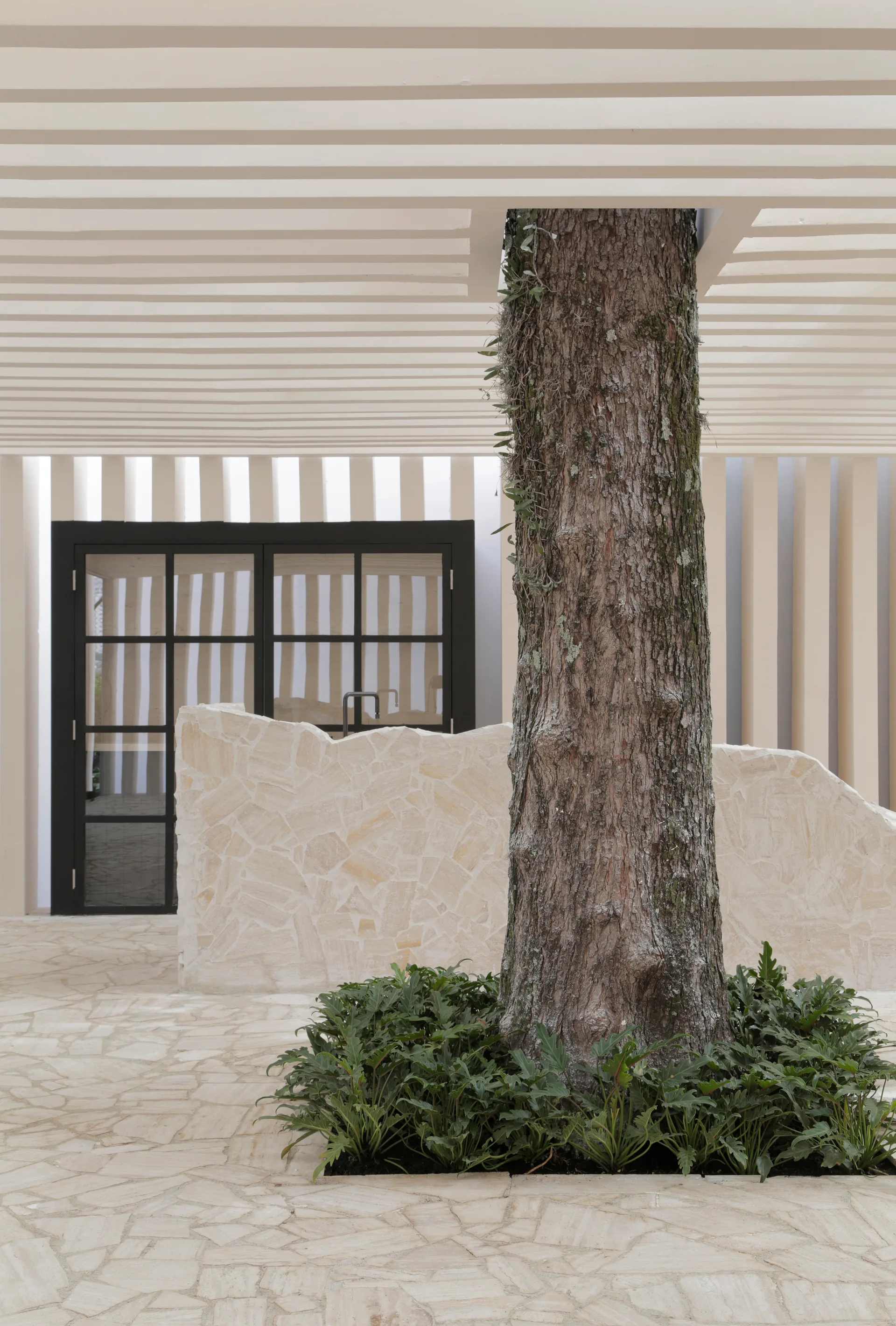 A natural stone patio features a large tree growing through a cream slatted pergola, with a low stone wall and a black-framed glass door.