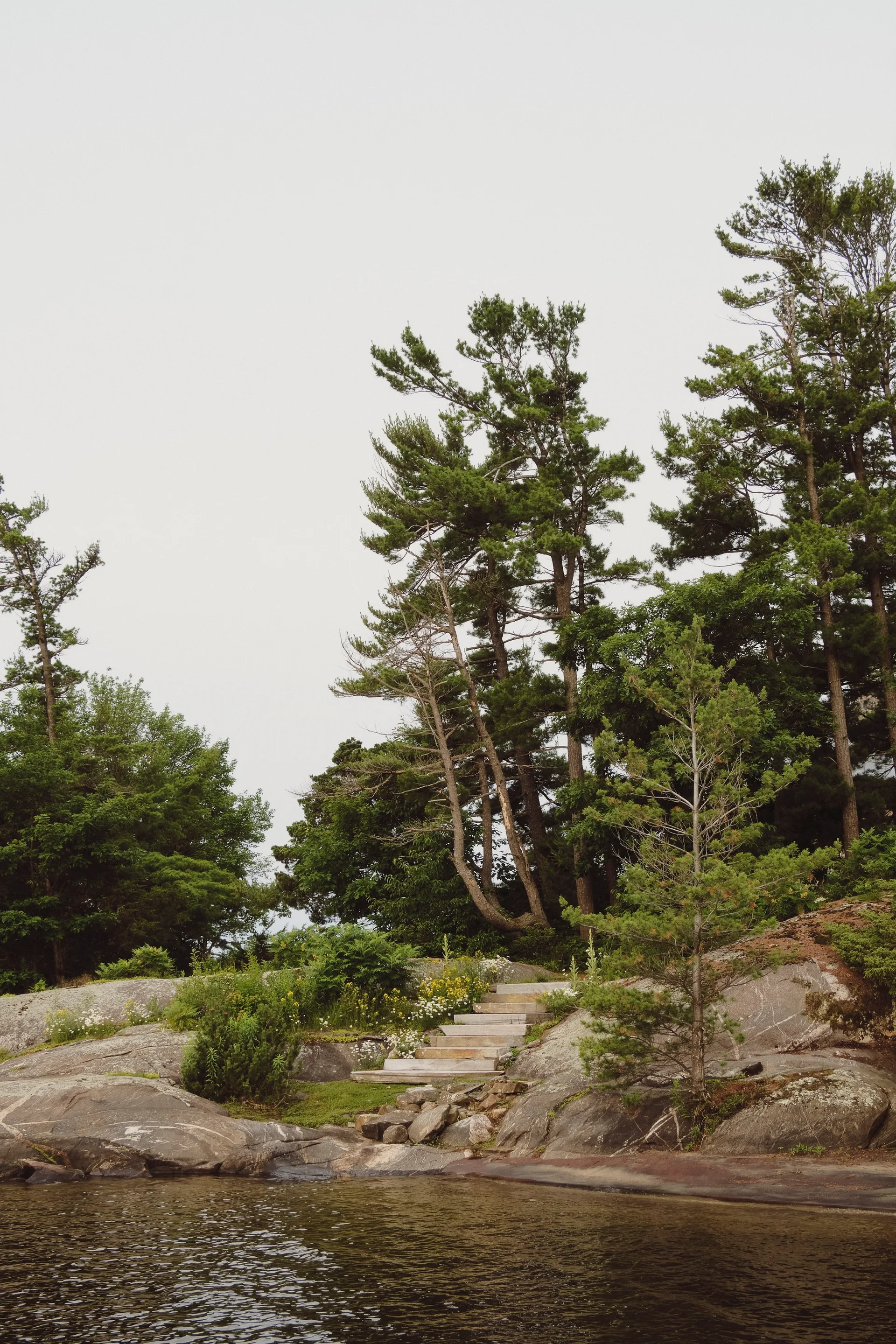 Stone steps curve up a rocky shoreline flanked by pine trees, wildflowers, and a calm body of water under an overcast sky.