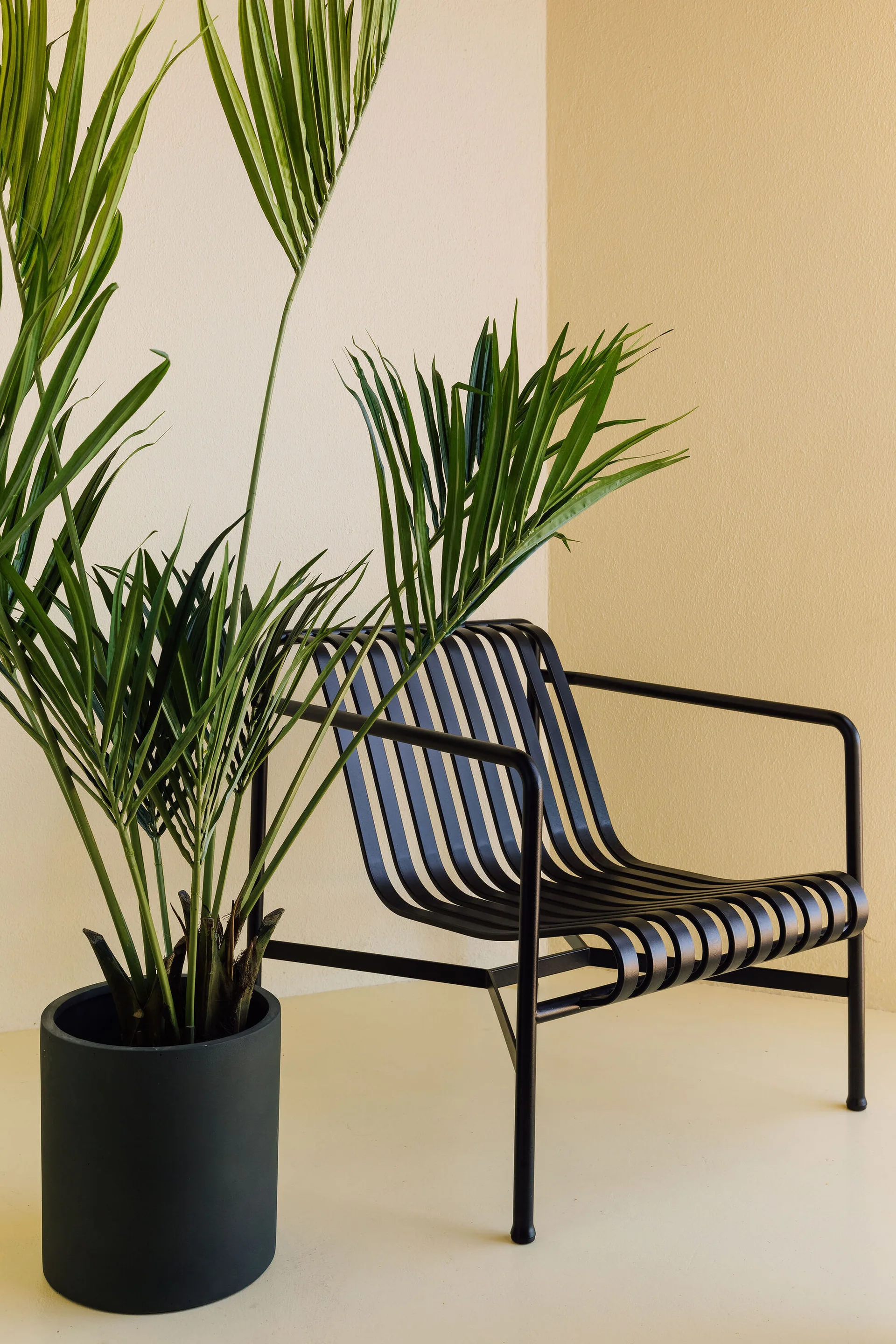 A modern black slatted metal lounge chair sits next to a green potted palm plant in a matte black planter against beige walls.