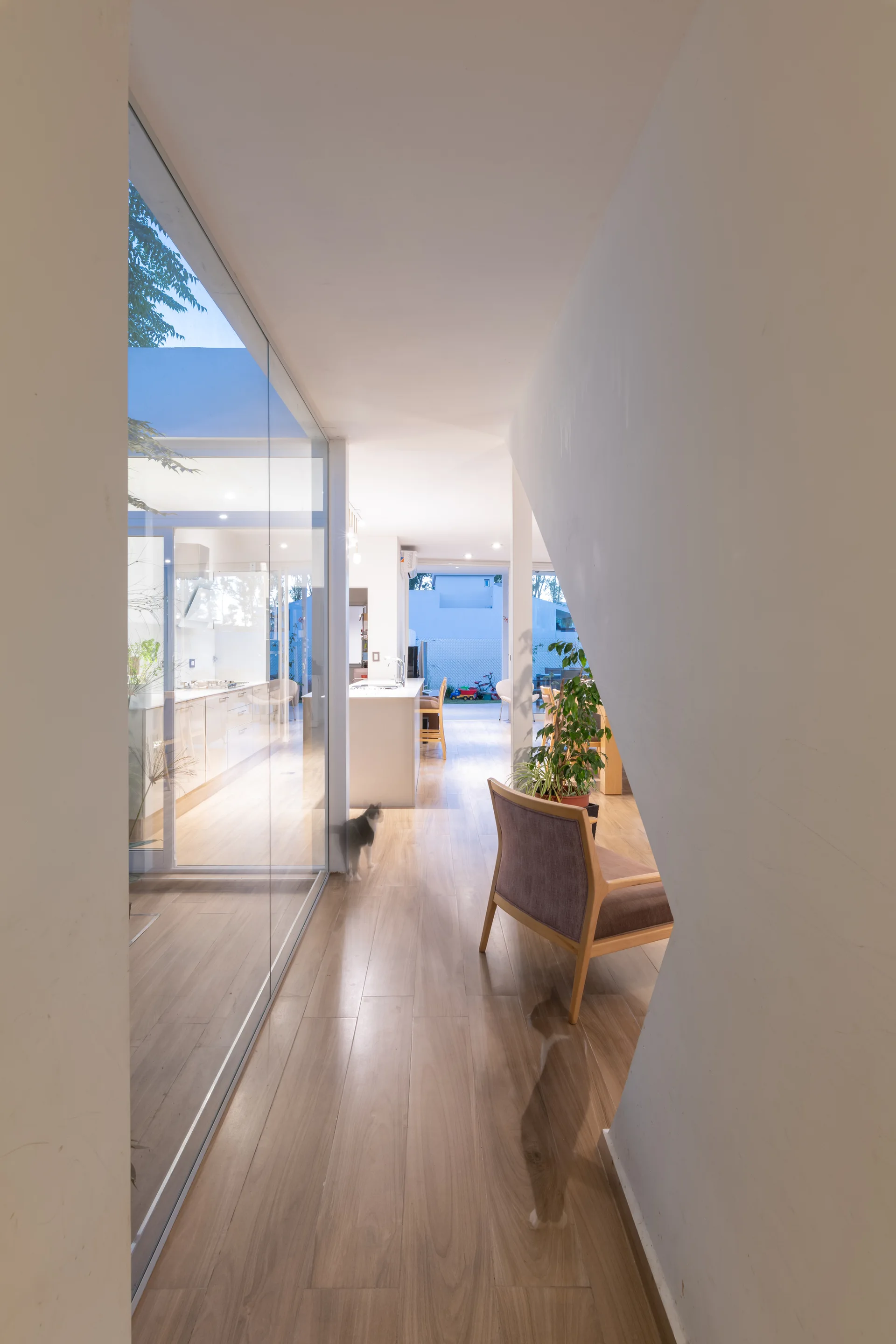 A modern hallway with light wood floors features a large floor-to-ceiling glass wall looking into a bright kitchen and living area.