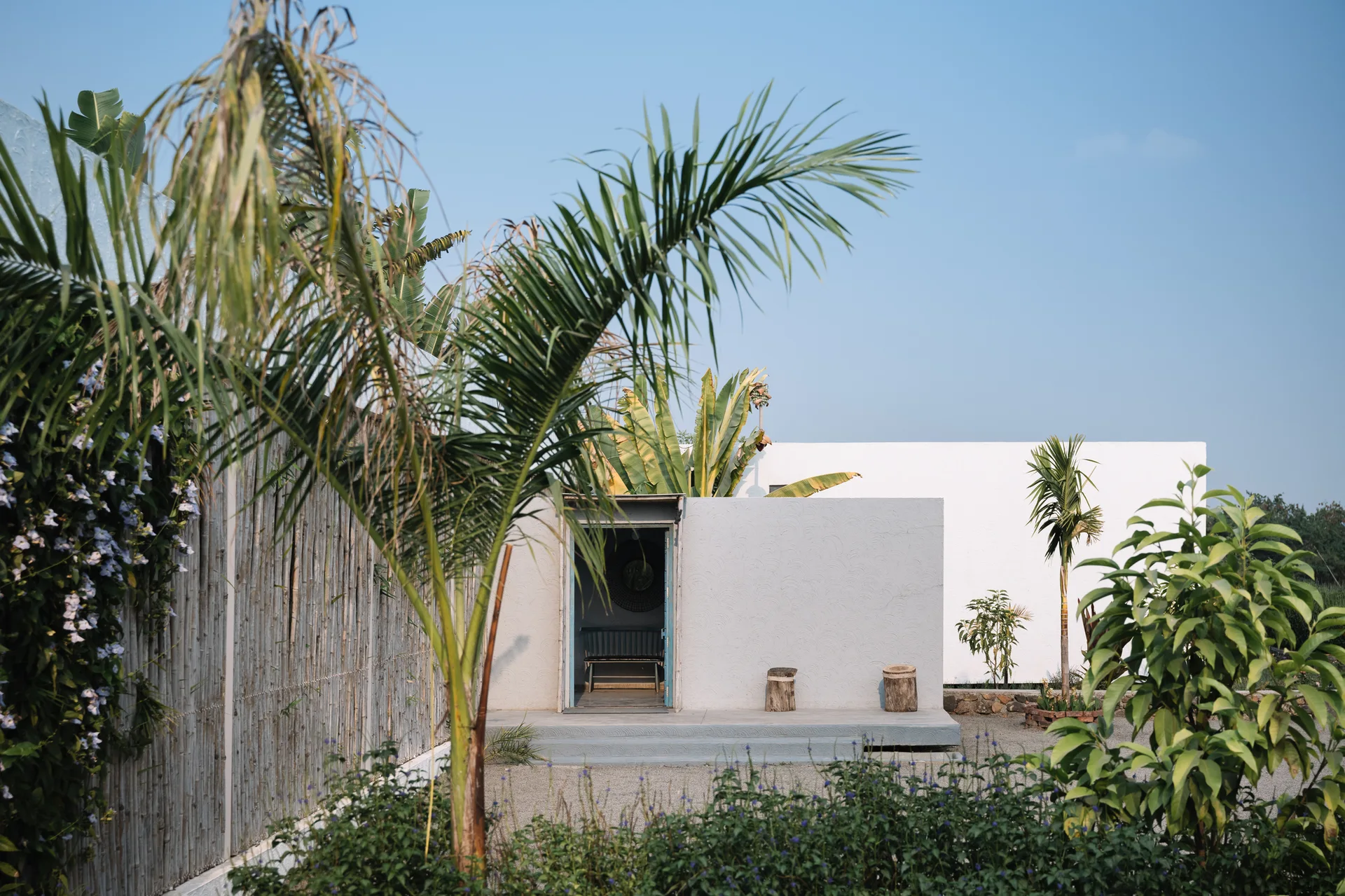 A minimalist white building features an open doorway next to a tall bamboo fence, palm trees, and wooden stump stools on a gravel patio.